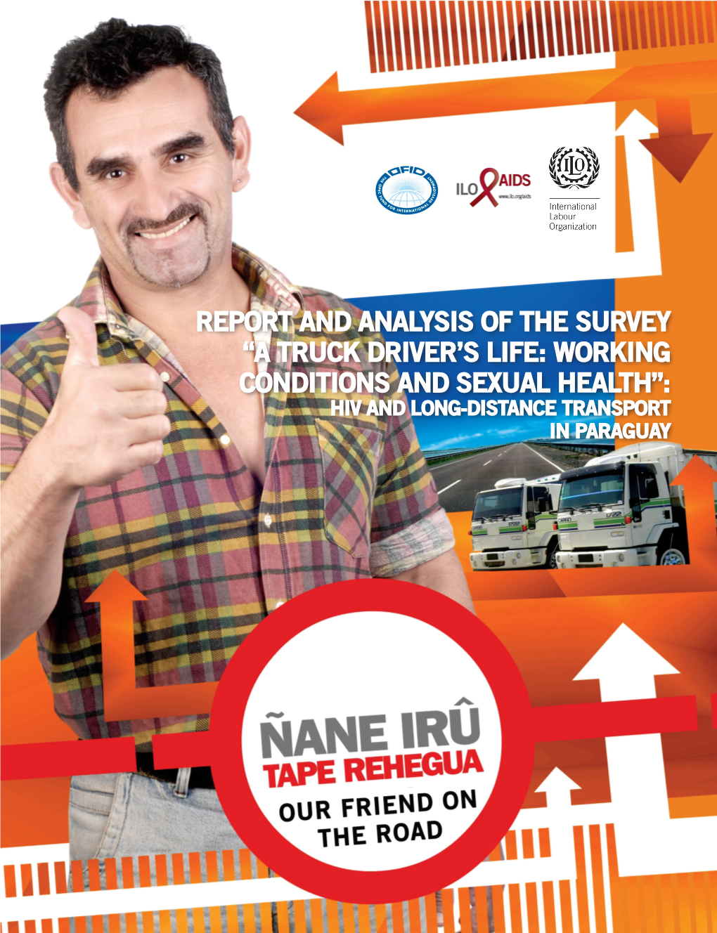 Report and Analysis of the Survey: "A Truck Driver's Life: Working