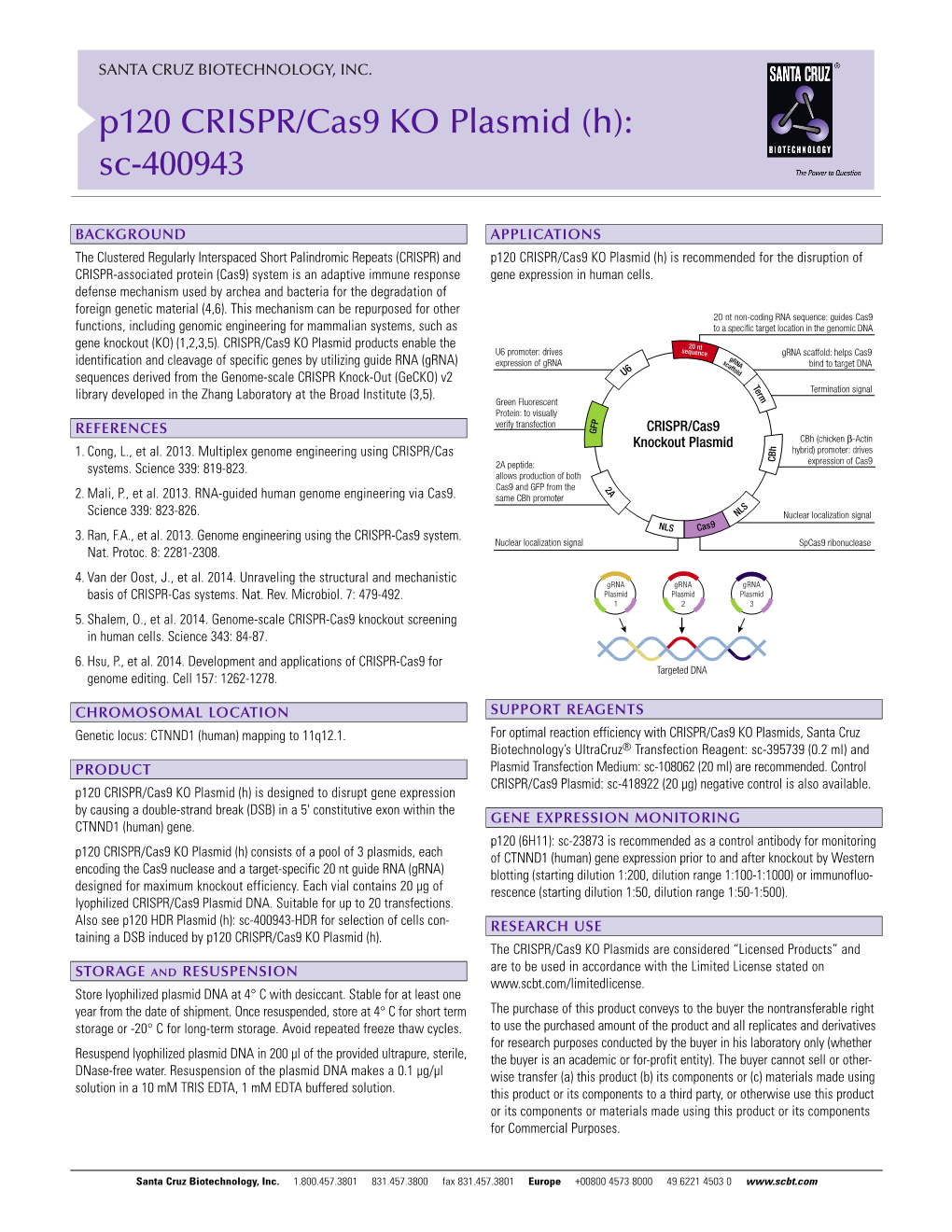 P120 CRISPR/Cas9 KO Plasmid (H): Sc-400943