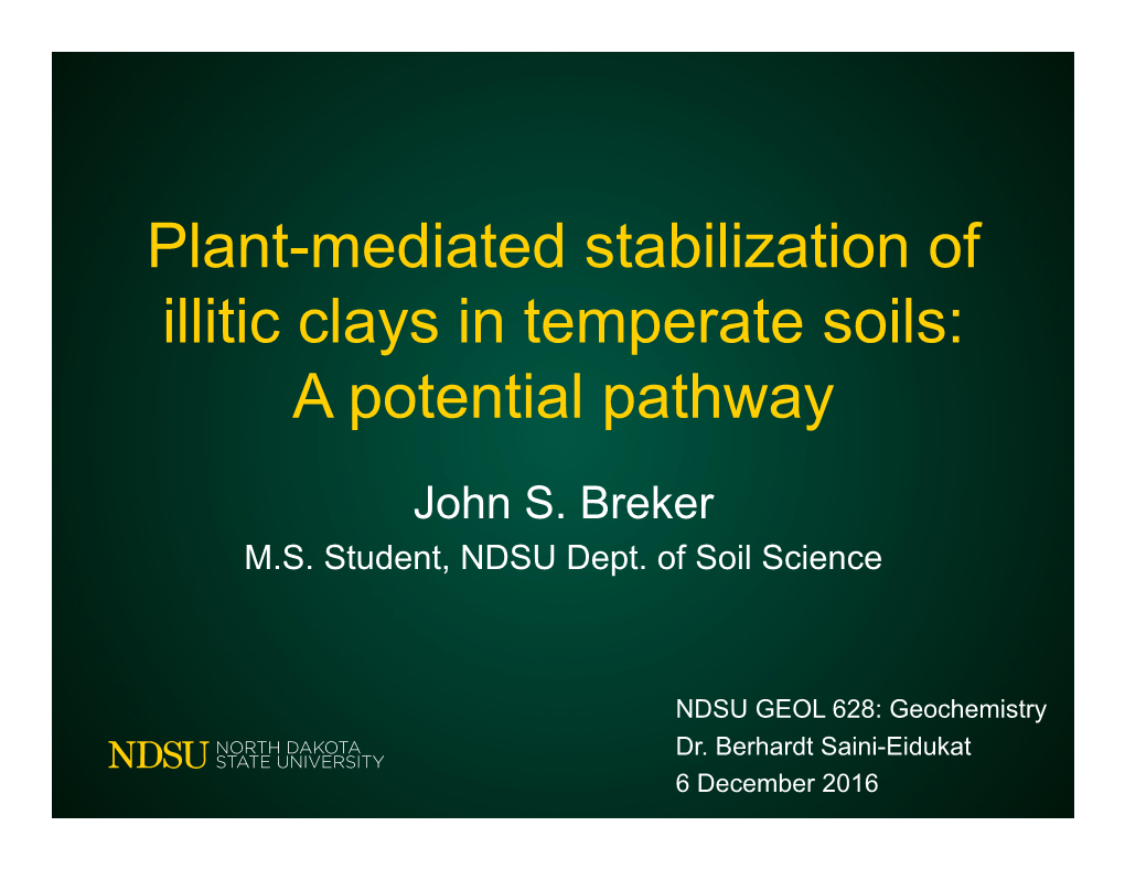 Plant-Mediated Stabilization of Illitic Clays in Temperate Soils: a Potential Pathway