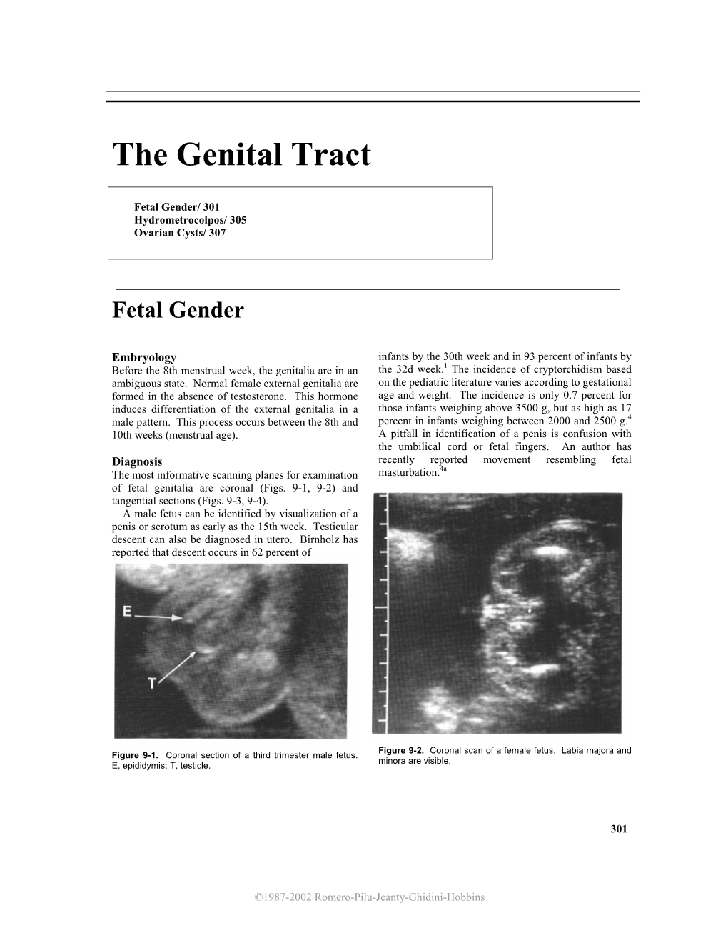 The Genital Tract