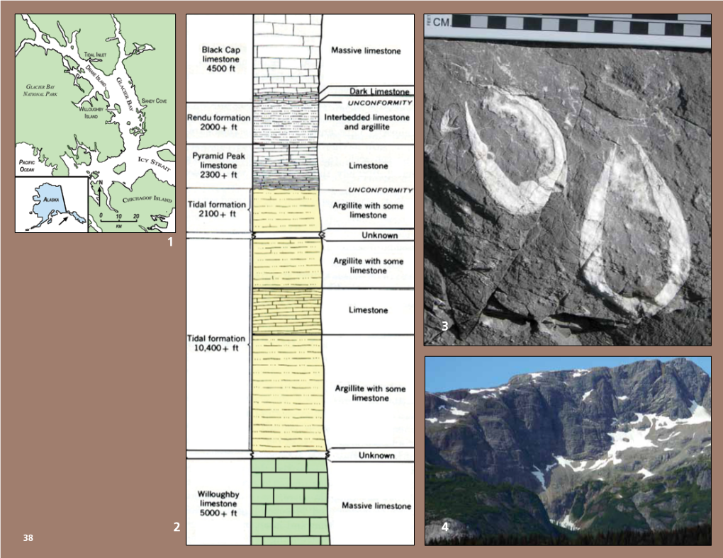 Shallow and Deep Water Origins of Silurian Rocks at Glacier Bay, Alaska