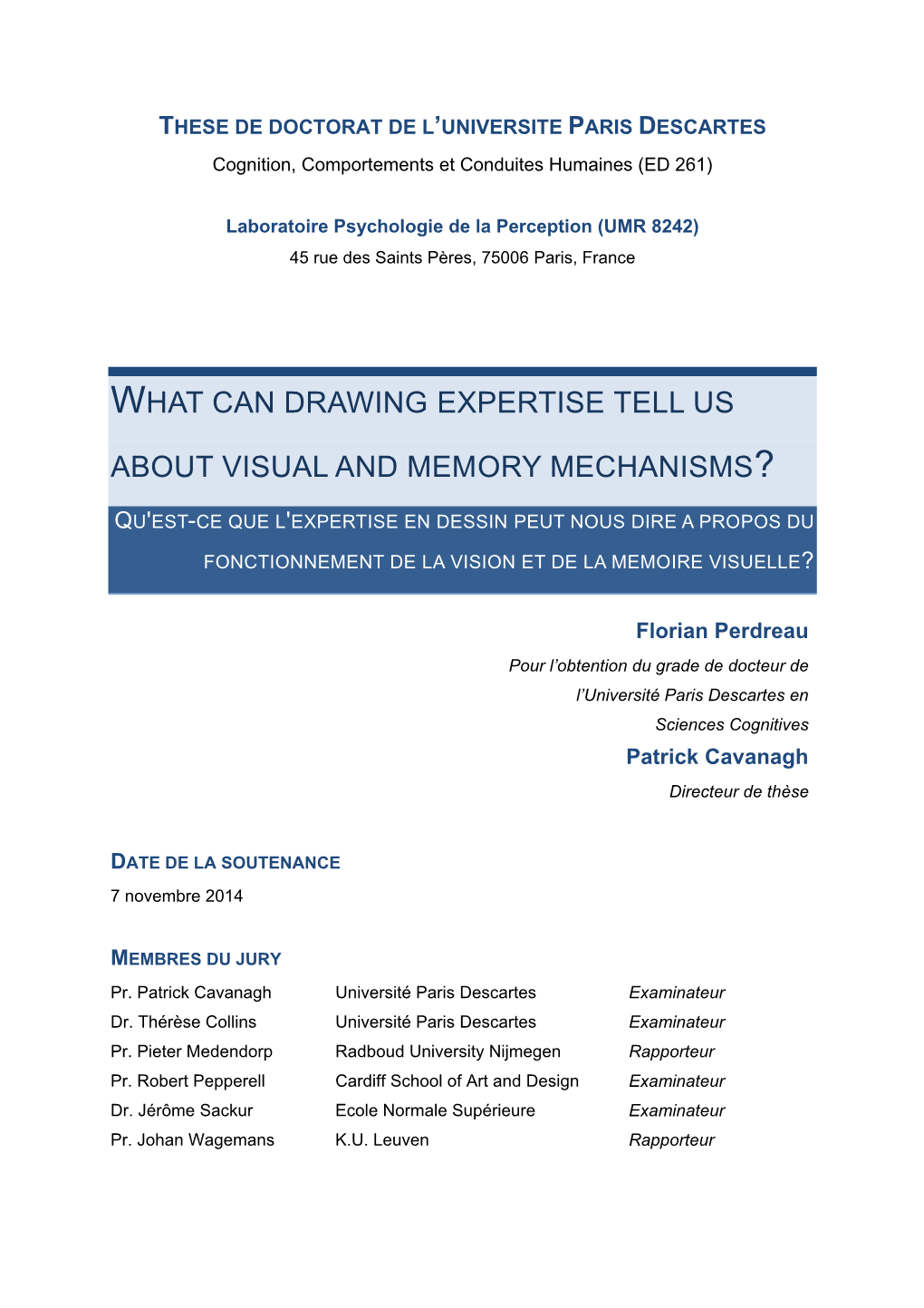 What Can Drawing Expertise Tell Us About Visual and Memory
