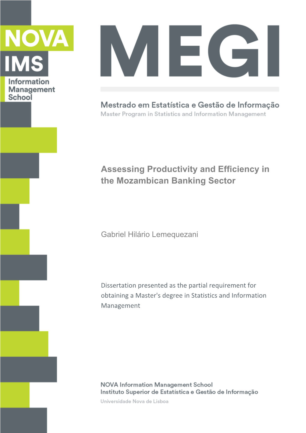 Assessing Productivity and Efficiency in the Mozambican Banking Sector