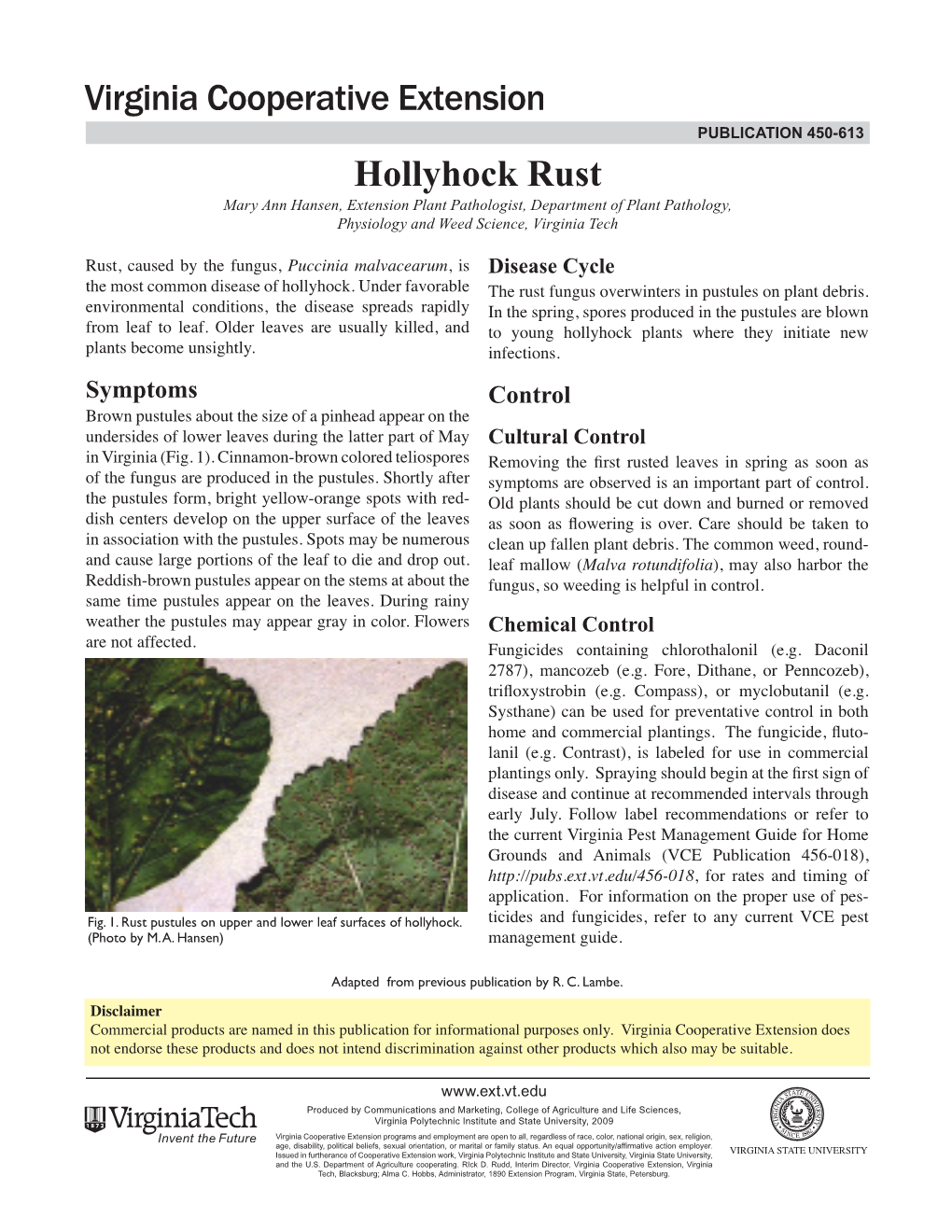 Hollyhock Rust Mary Ann Hansen, Extension Plant Pathologist, Department of Plant Pathology, Physiology and Weed Science, Virginia Tech