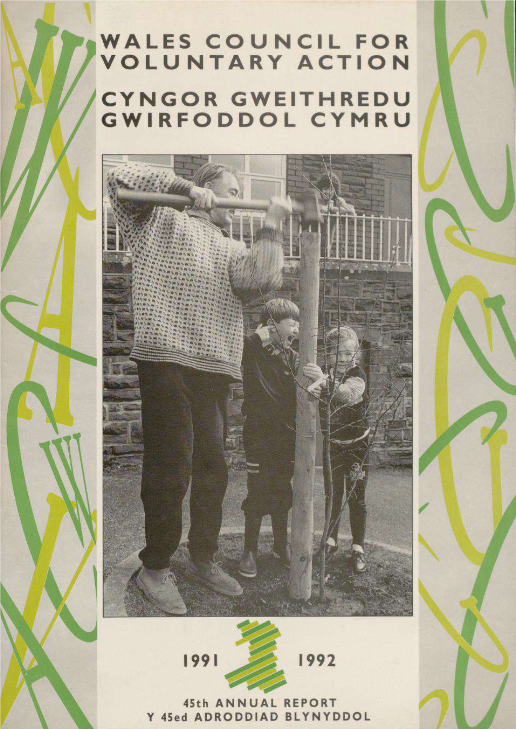 Wales Council for Voluntary Action Cyngor Gweithredu Gwirfoddol Cymru Llys Ifor Llys Ifor