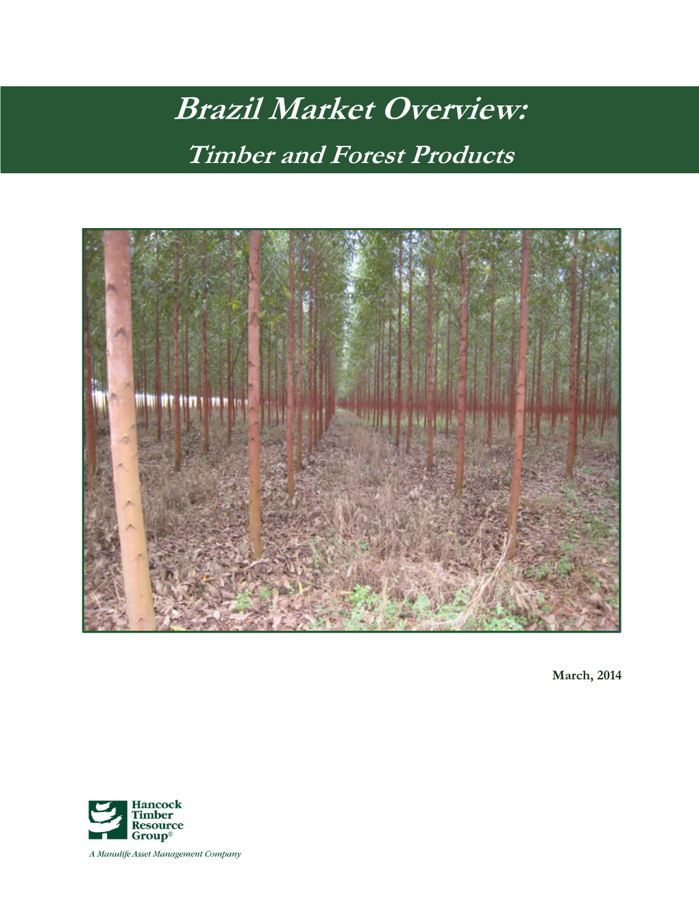 Brazil Market Overview: Timber and Forest Products