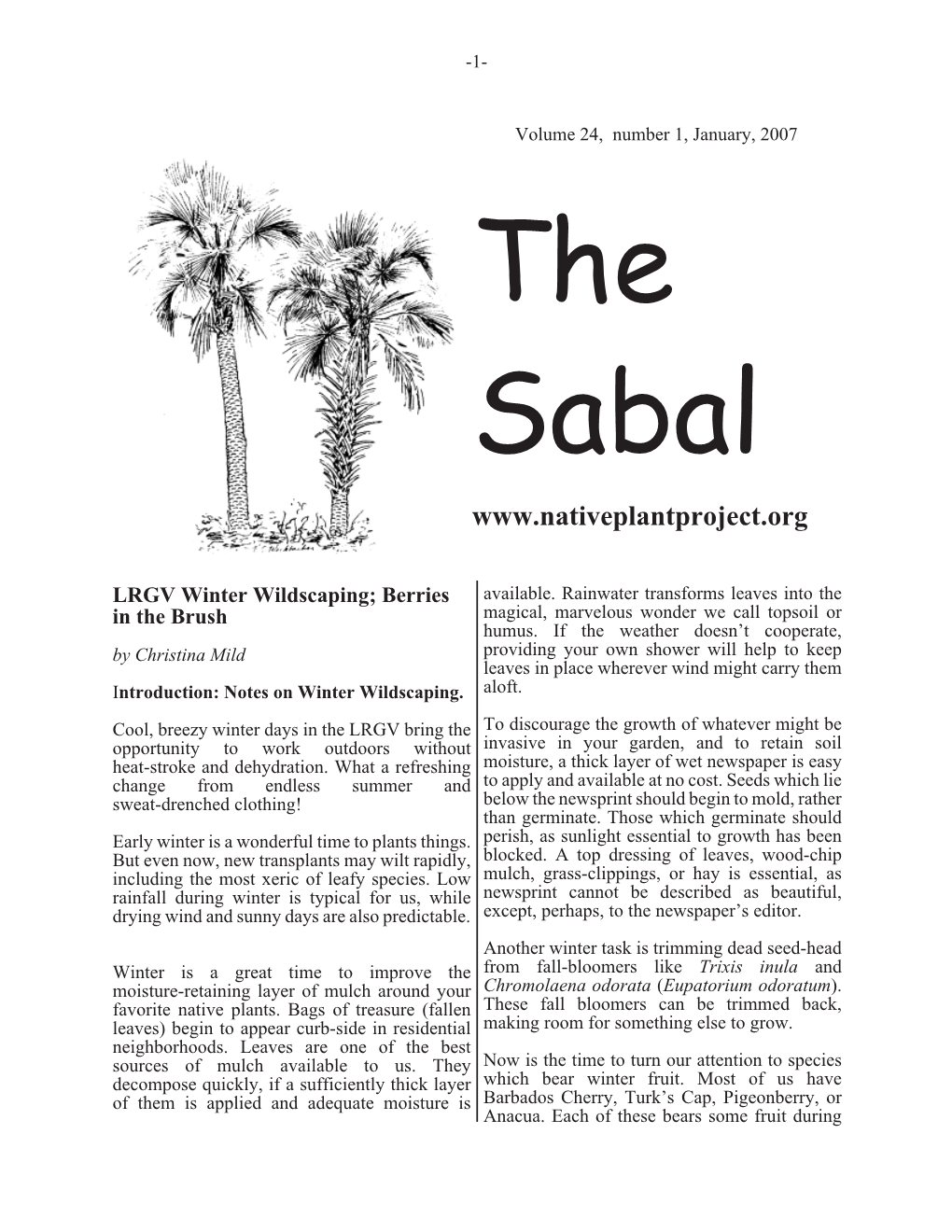 C:\Sabal January 2007.Vp