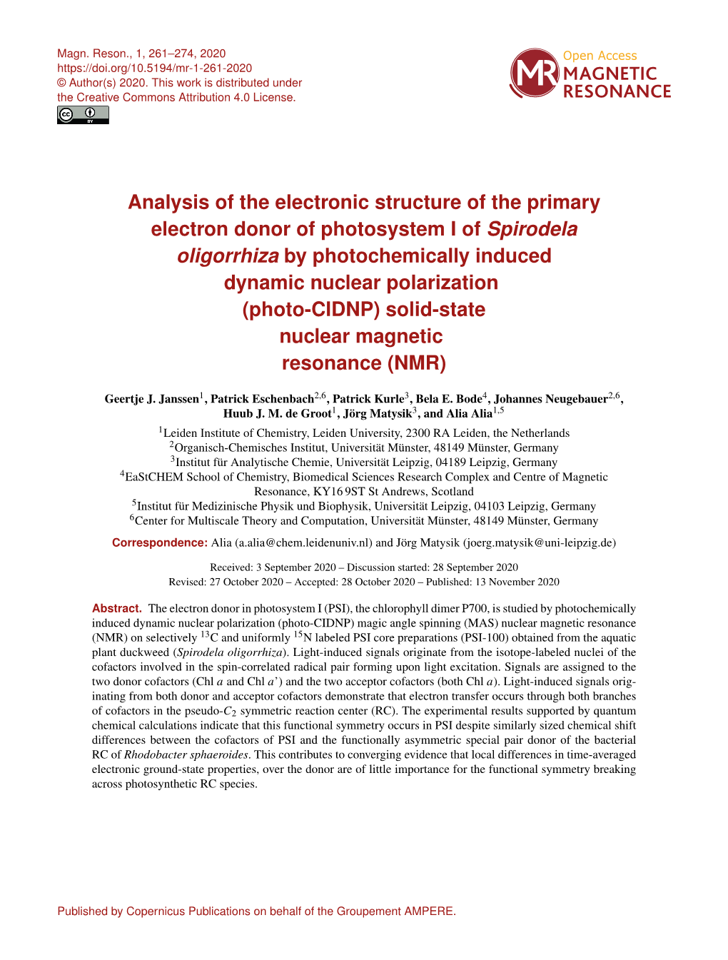 Analysis of the Electronic Structure of the Primary