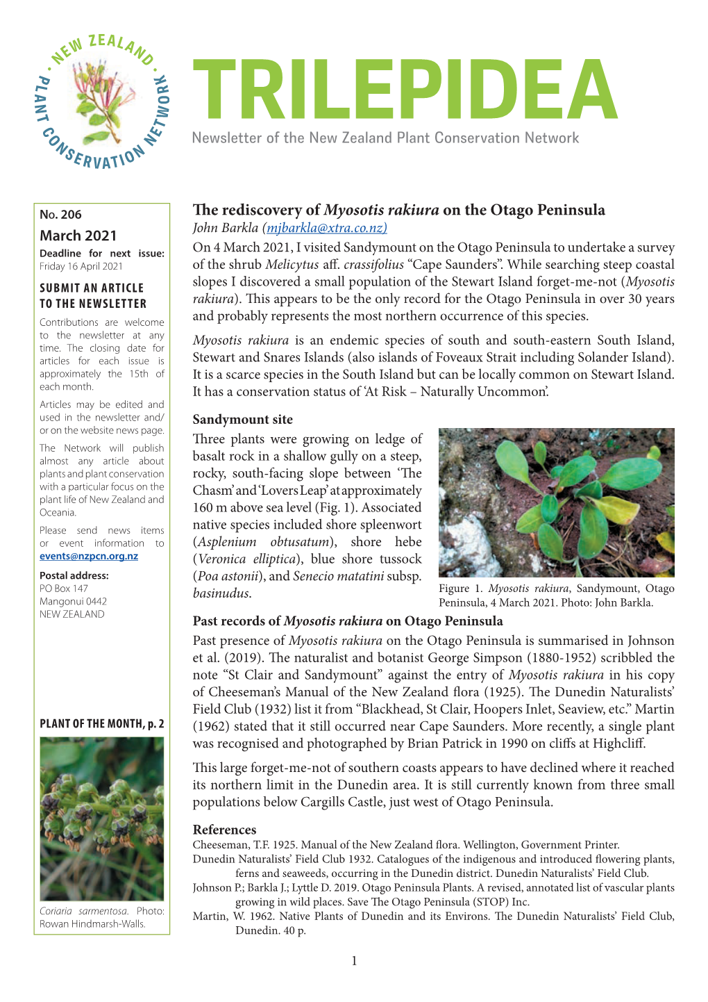 The Rediscovery of Myosotis Rakiura on the Otago Peninsula