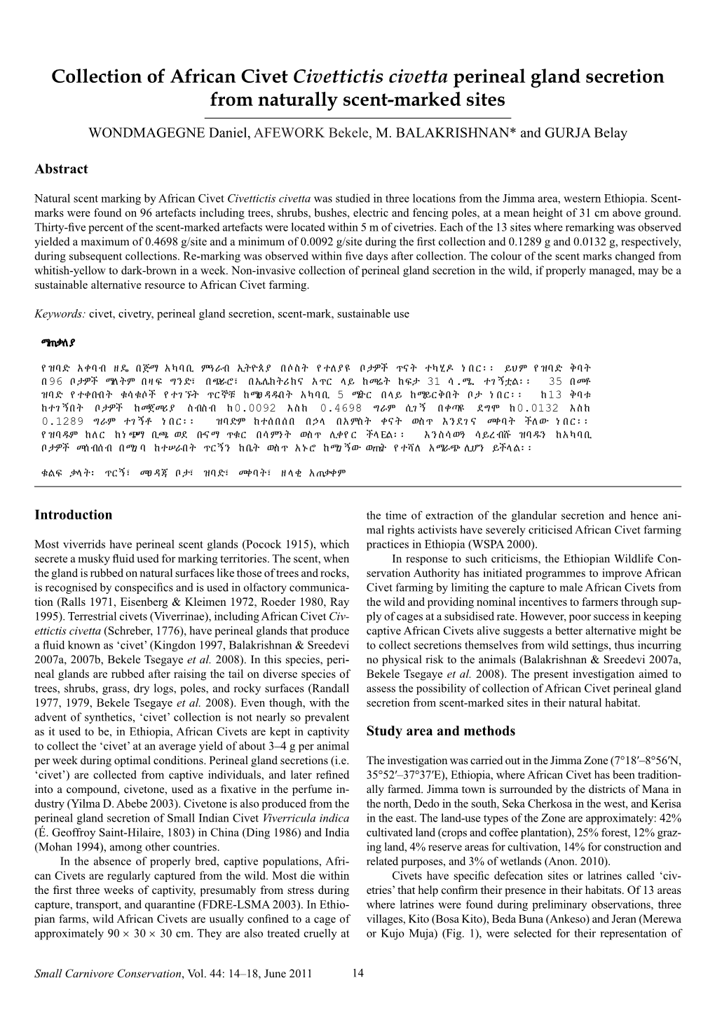 Collection of African Civet Civettictis Civetta Perineal Gland Secretion from Naturally Scent-Marked Sites