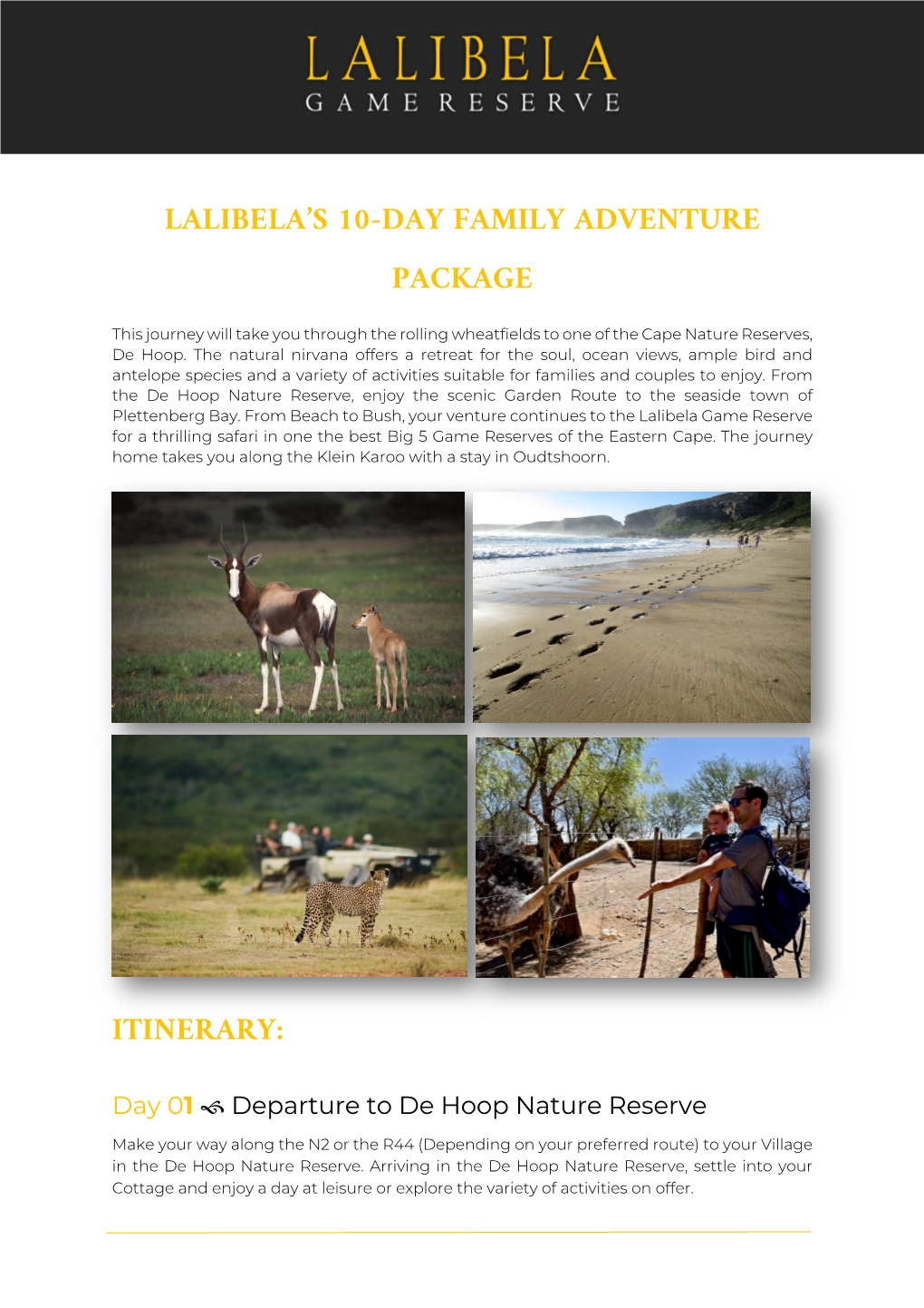 Lalibela's 10-Day Family Adventure Package Itinerary