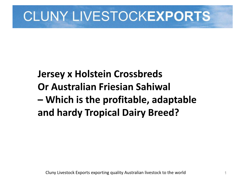 Jersey X Holstein Crossbreds Or Australian Friesian Sahiwal – Which Is the Profitable, Adaptable and Hardy Tropical Dairy Breed?