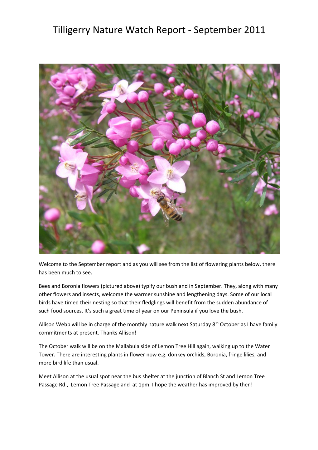 Tilligerry Nature Watch Report - September 2011