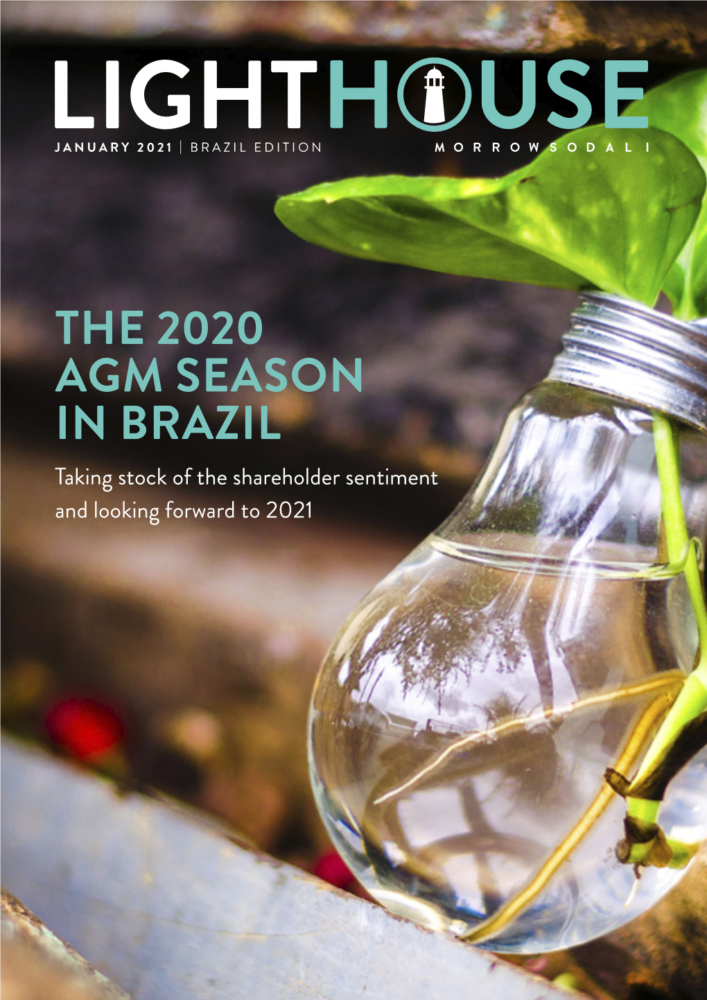 THE 2020 AGM SEASON in BRAZIL Taking Stock of the Shareholder Sentiment and Looking Forward to 2021 JANUARY 2021 | LIGHTHOUSE | P