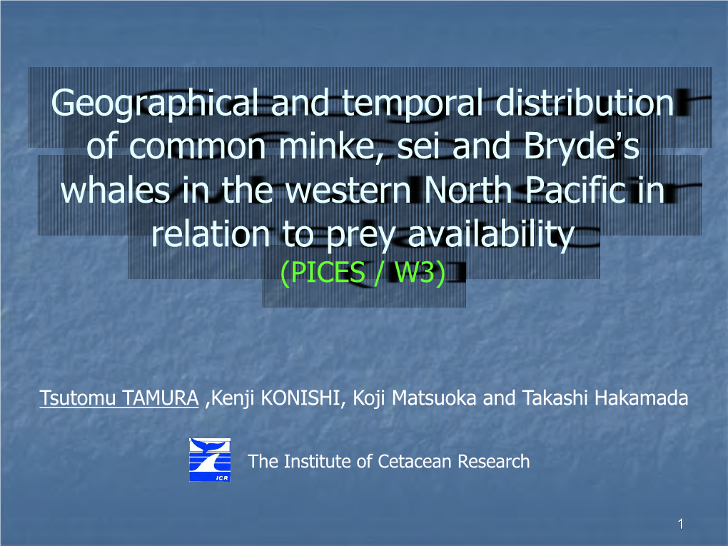 Geographical and Temporal Distribution of Common Minke, Sei and Bryde’S Whales in the Western North Pacific in Relation to Prey Availability (PICES / W3)