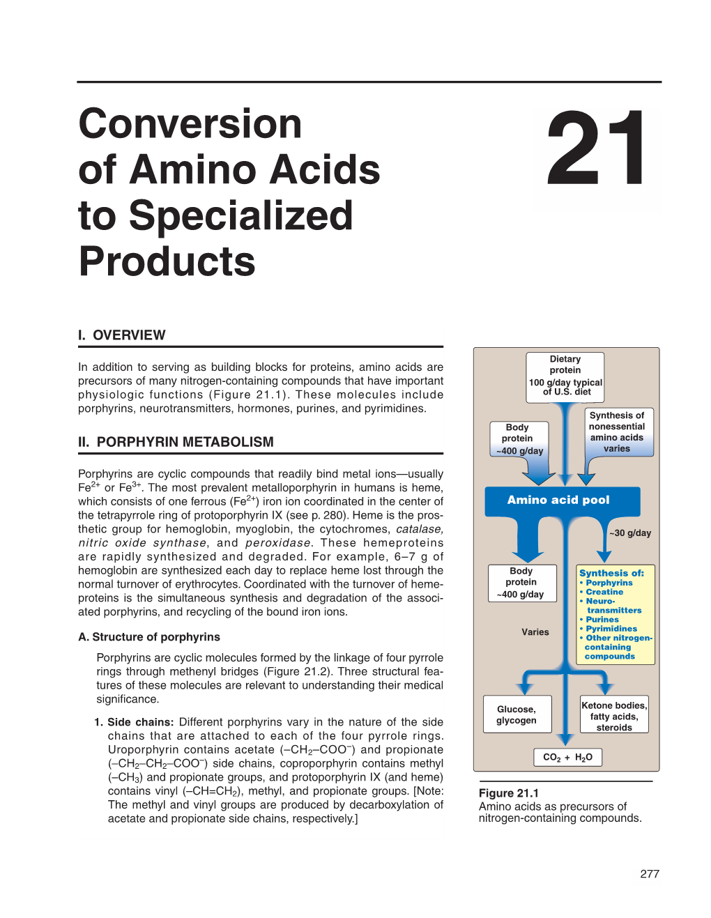 Conversion of Amino Acids to Specialized Products