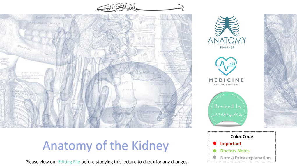 Anatomy of the Kidney Doctors Notes Notes/Extra Explanation Please View Our Editing File Before Studying This Lecture to Check for Any Changes