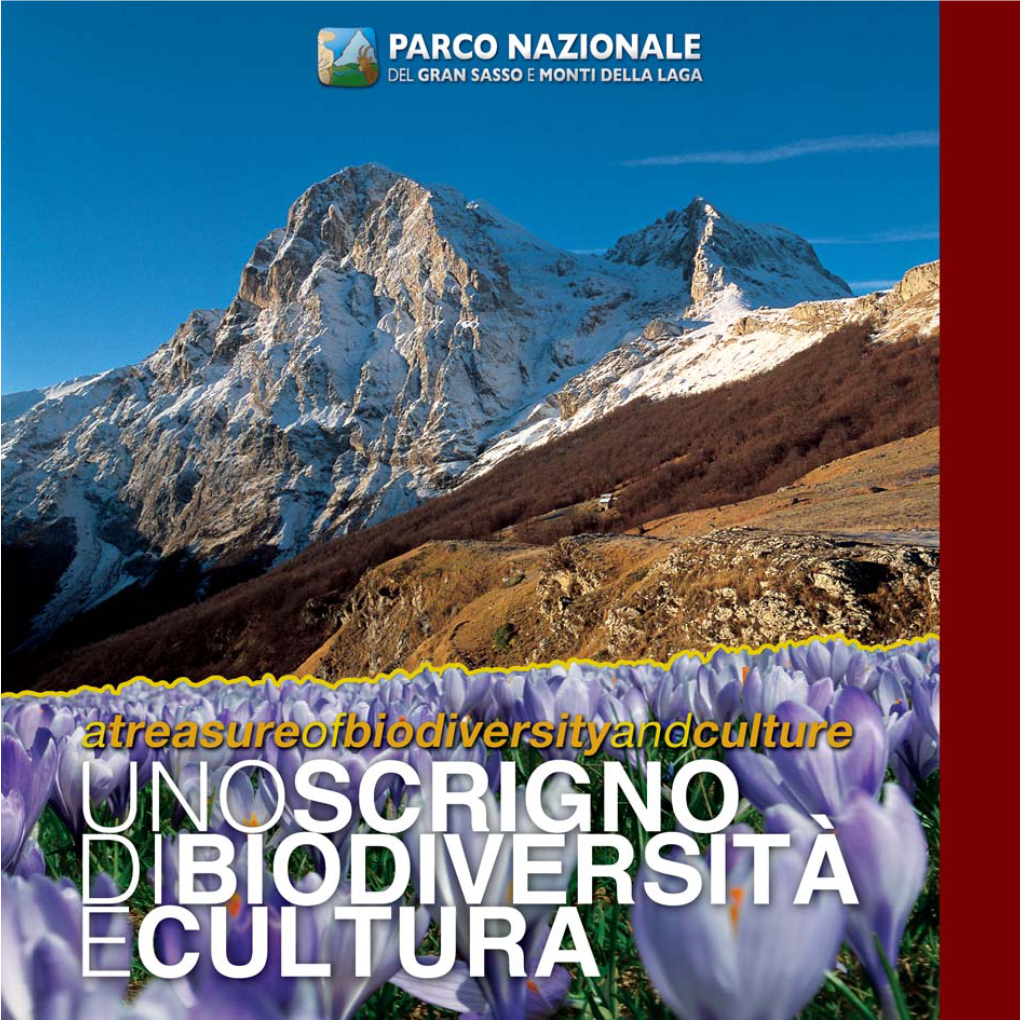 Brochure Istituzionale