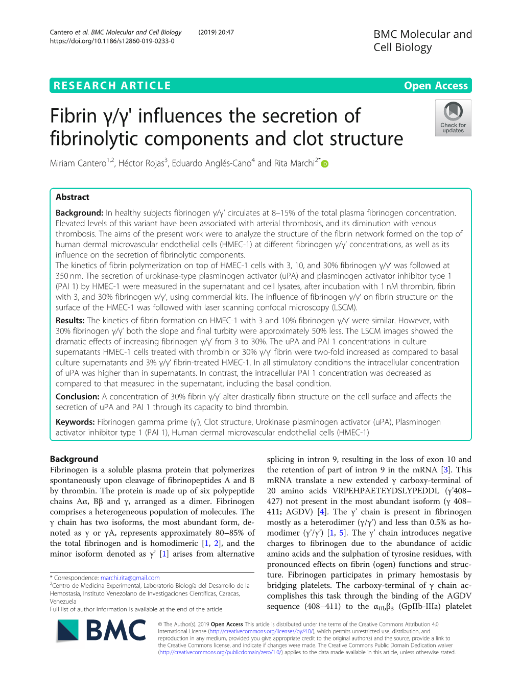 Fibrin Γ/Γ' Influences the Secretion of Fibrinolytic Components and Clot Structure Miriam Cantero1,2, Héctor Rojas3, Eduardo Anglés-Cano4 and Rita Marchi2*