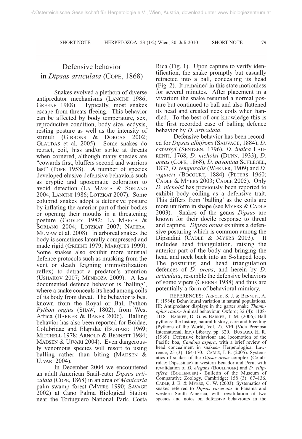 Defensive Behavior in Dipsas Articulata