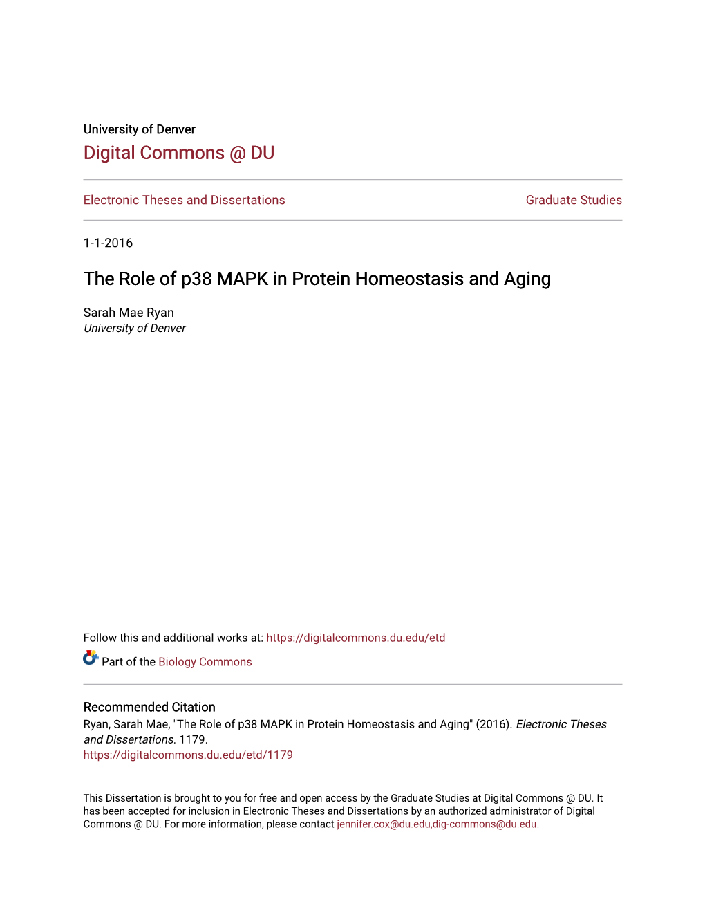 The Role of P38 MAPK in Protein Homeostasis and Aging