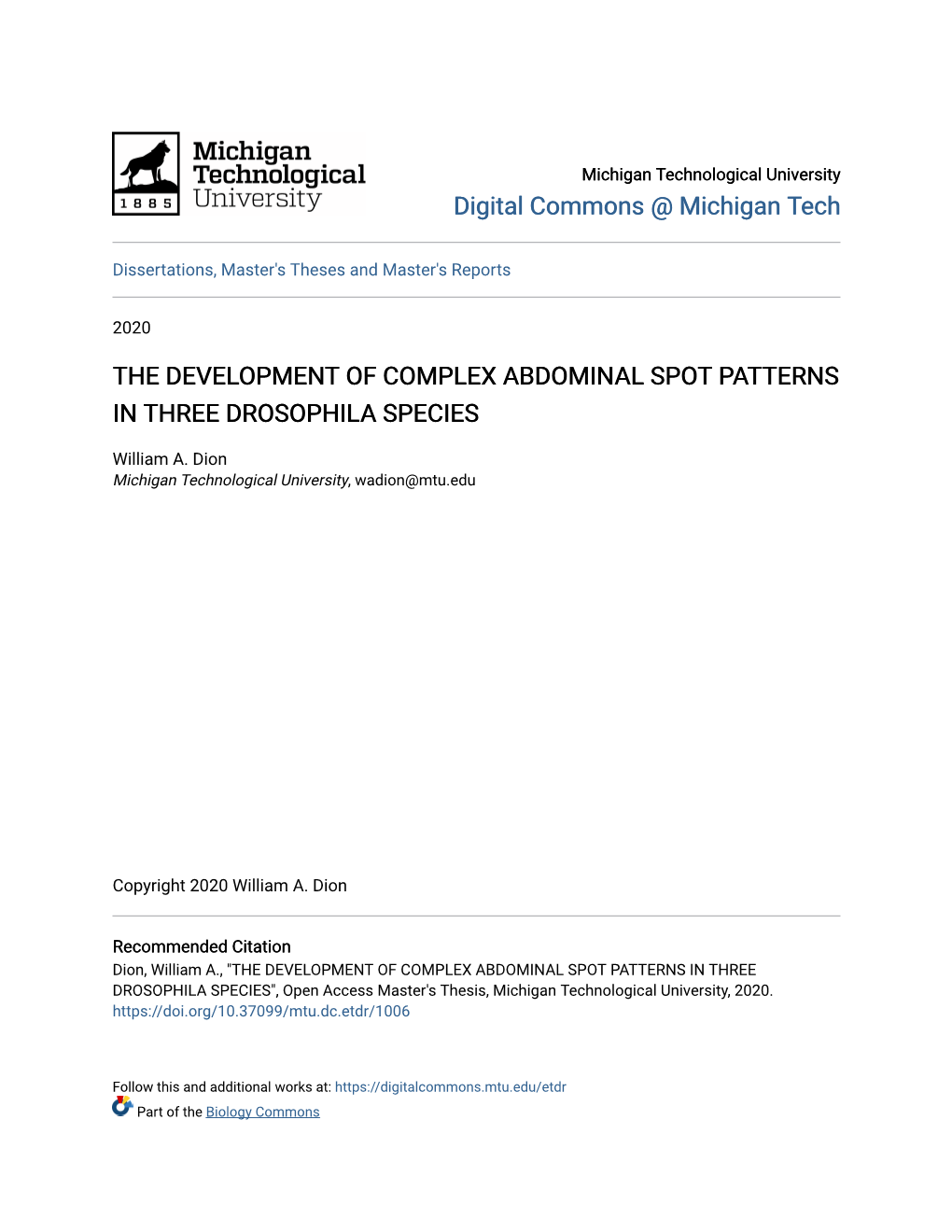 The Development of Complex Abdominal Spot Patterns in Three Drosophila Species