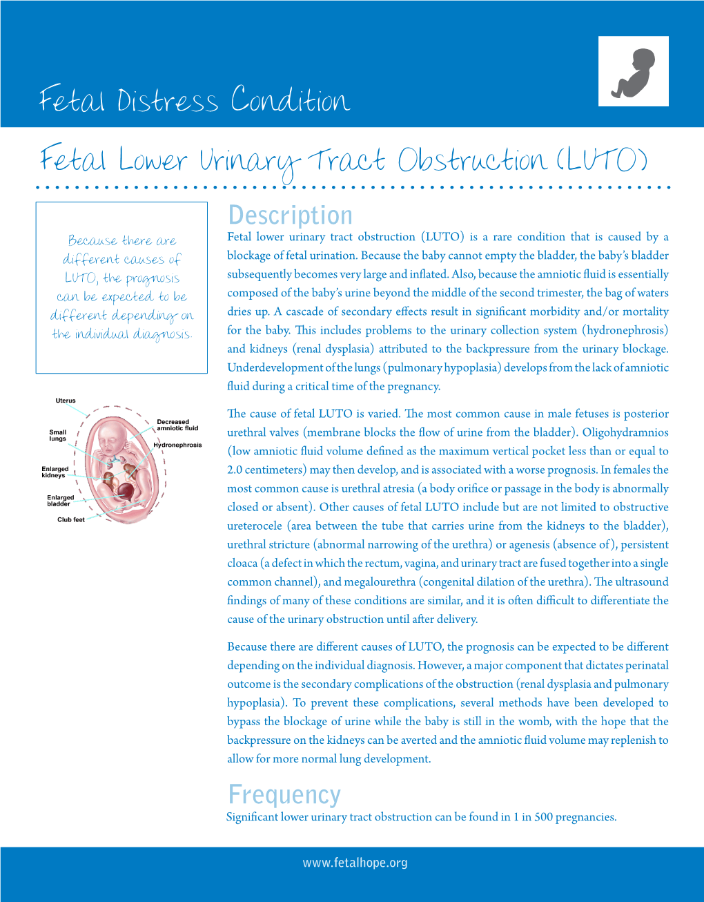 Fetal Distress Condition Fetal Lower Urinary Tract Obstruction (LUTO)