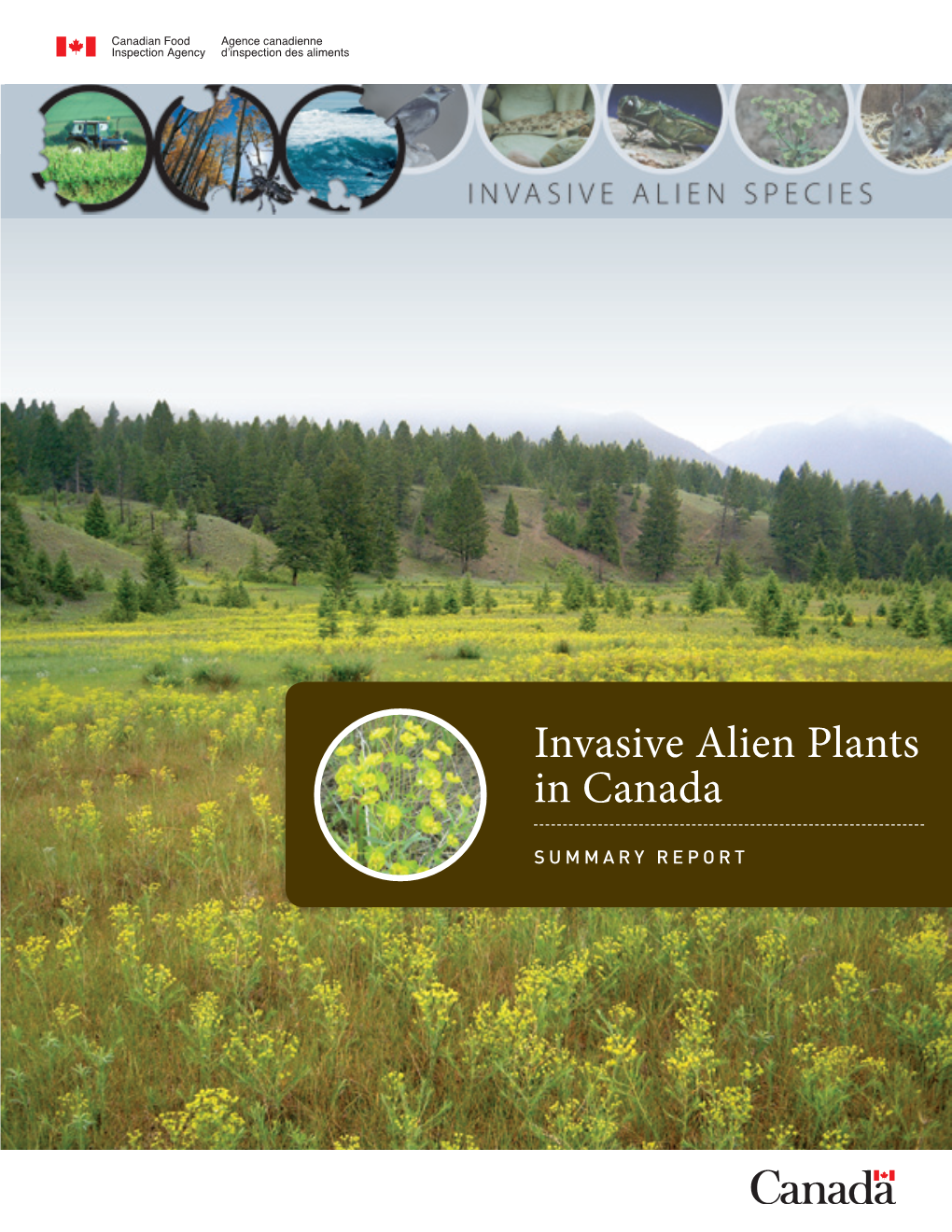 Invasive Alien Plants in Canada