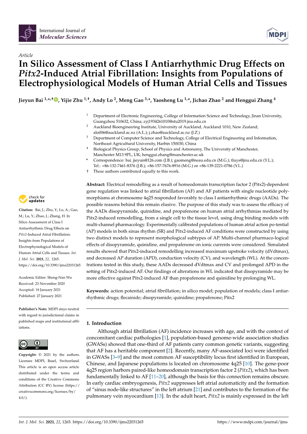 In Silico Assessment of Class I Antiarrhythmic Drug Effects