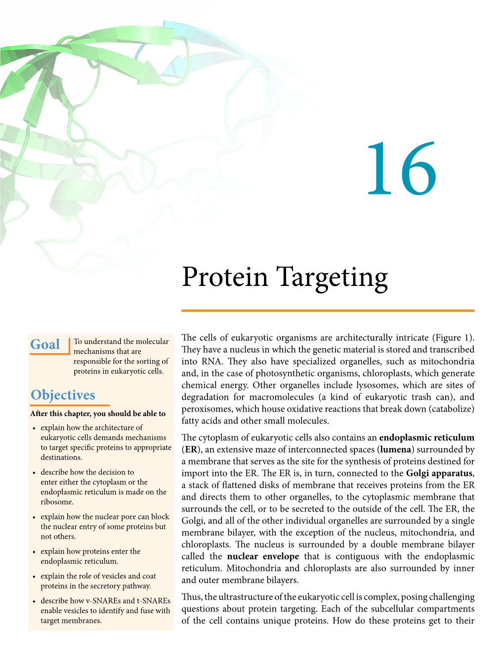 Protein Targeting