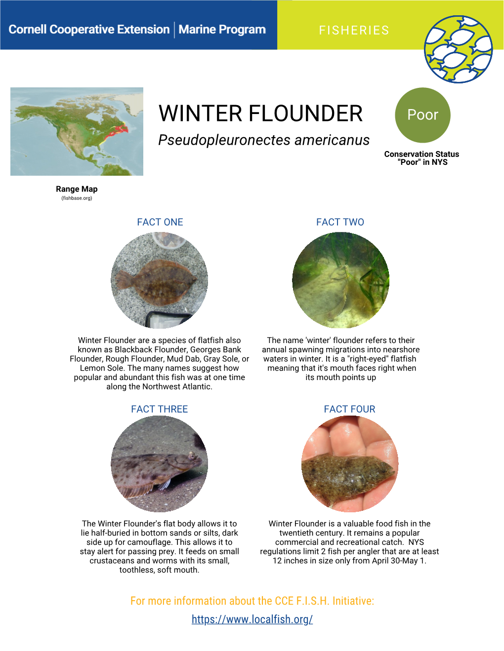 Copy of FISH Fish-Winter Flounder Fast Facts