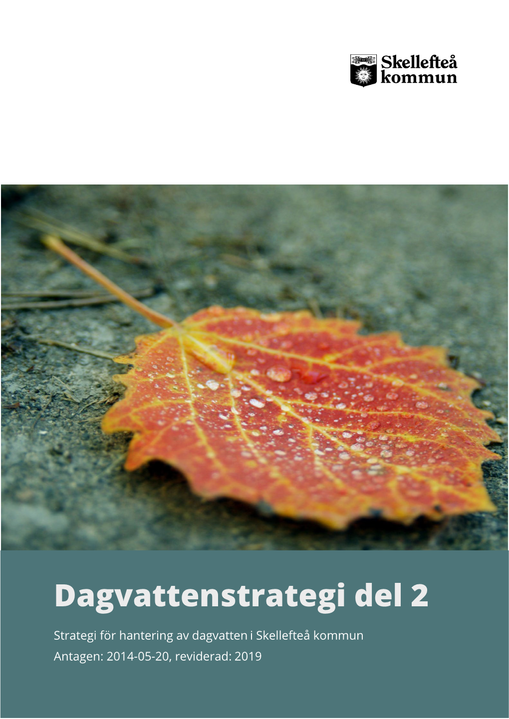 Dagvattenstrategi Del 2