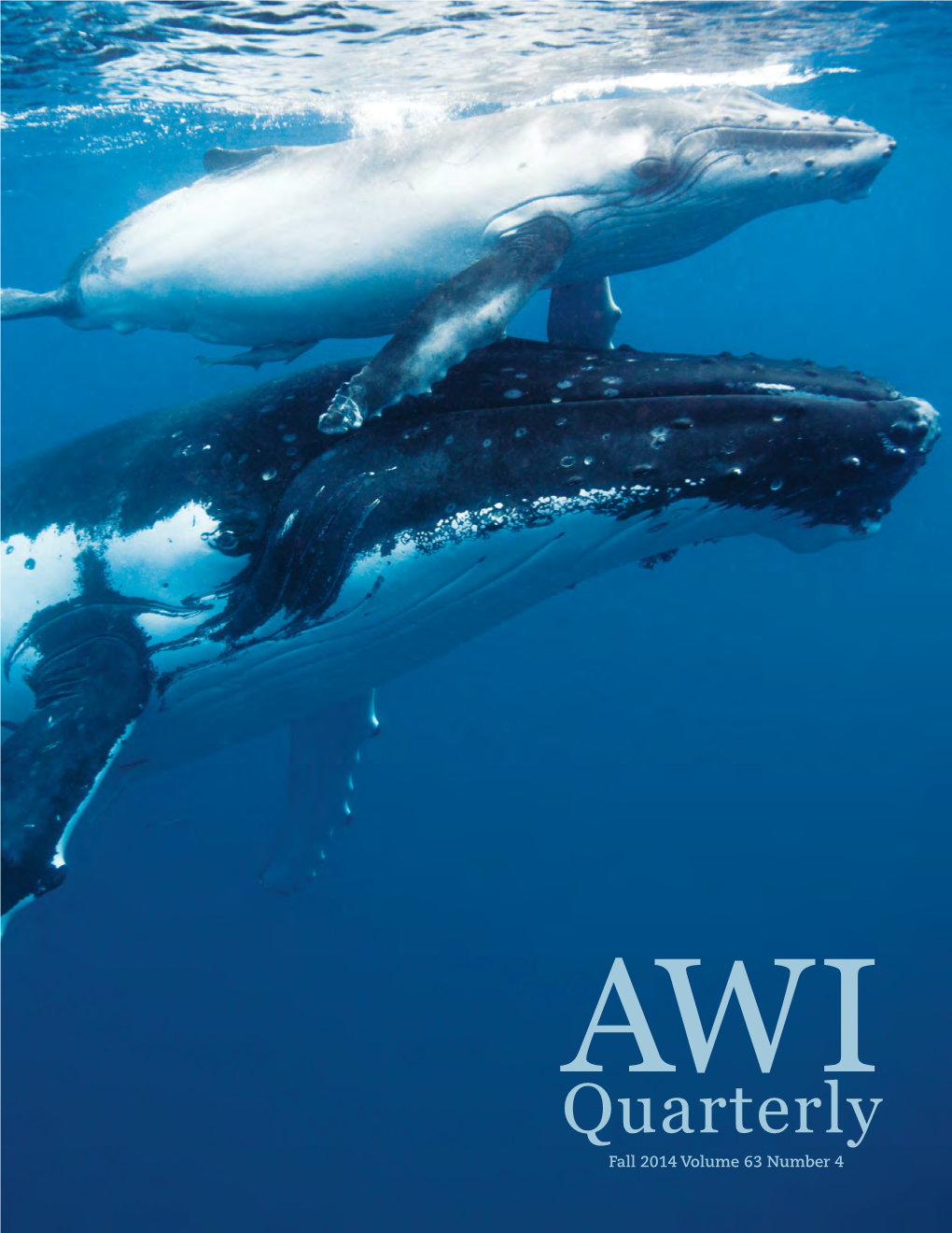 Quarterlyaw I Fall 2014 Volume 63 Number 4 AW I Quarterly ABOUT the COVER Off the Coast of Tonga in August, a Baby Humpback Whale Surfaces As Mom Glides Below