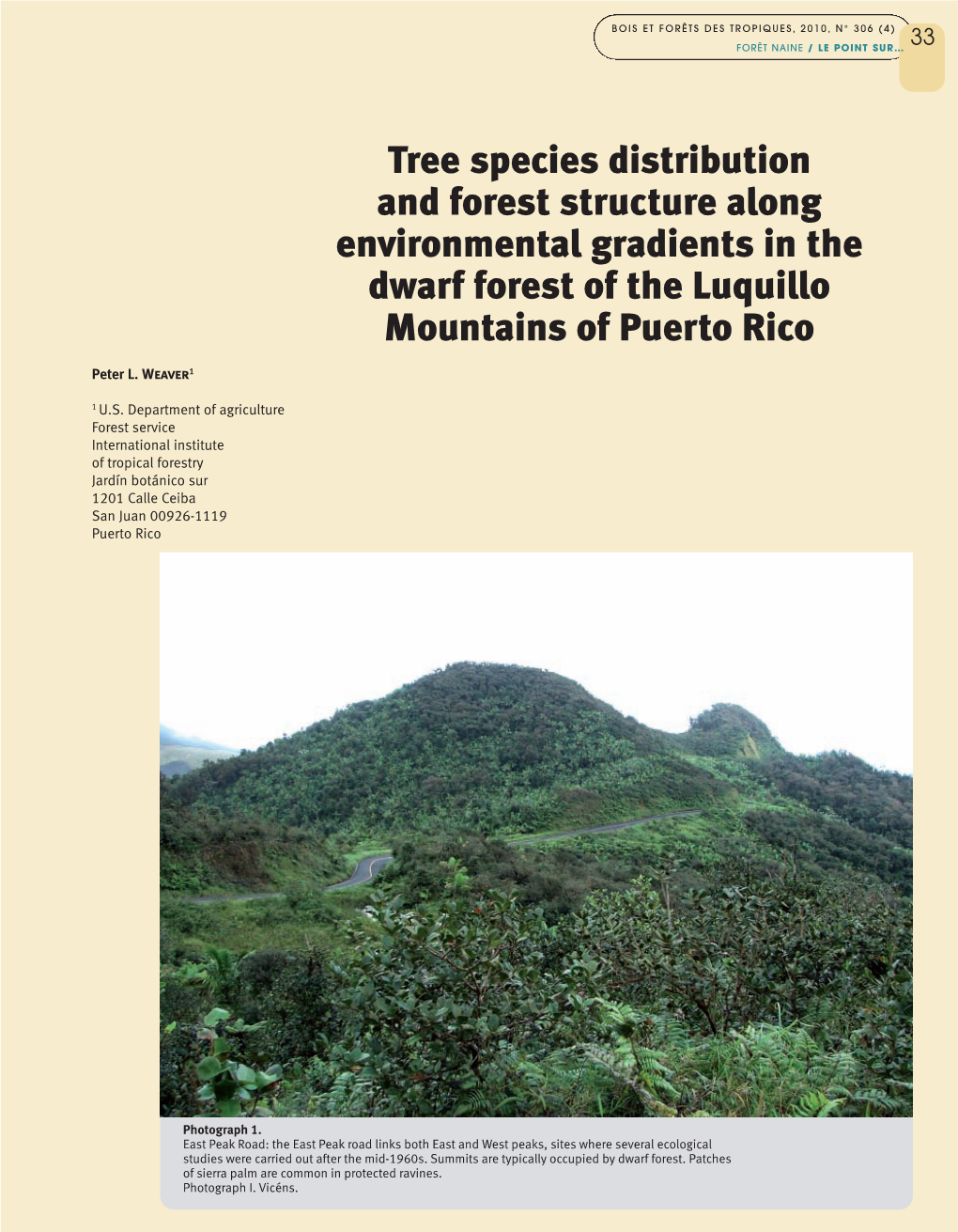 Tree Species Distribution and Forest Structure Along Environmental Gradients in the Dwarf Forest of the Luquillo Mountains of Puerto Rico