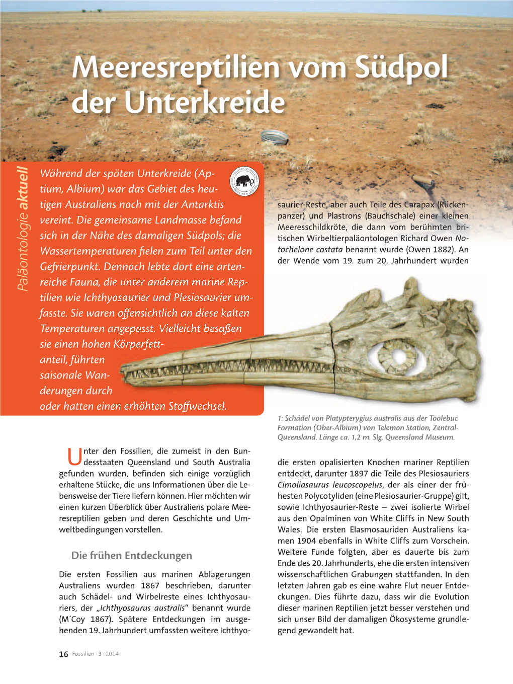 Meeresreptilien Vom Südpol Der Unterkreide