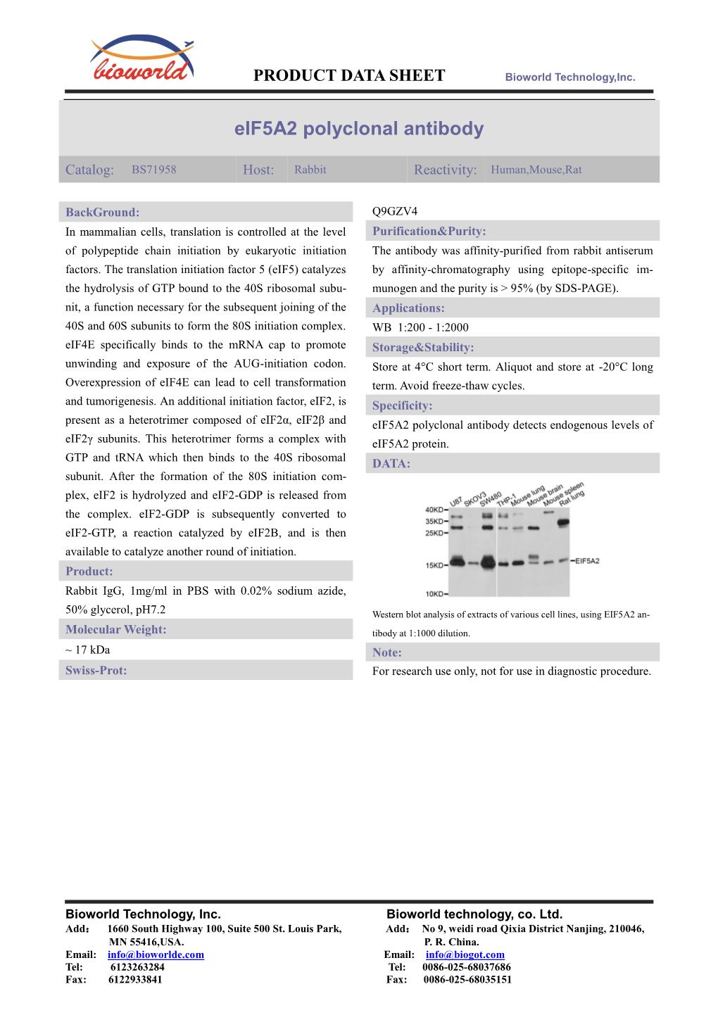 Eif5a2 Polyclonal Antibody