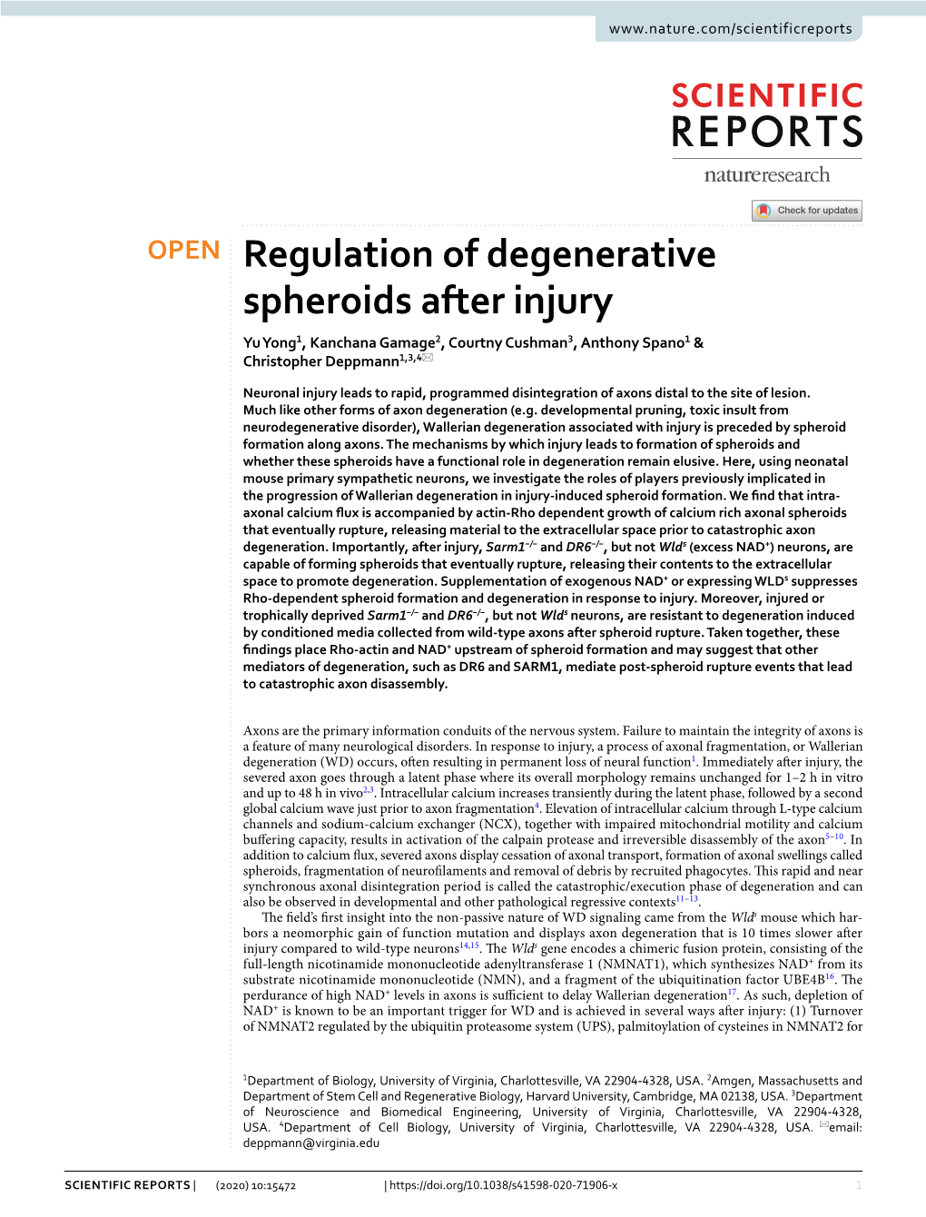 Regulation of Degenerative Spheroids After Injury Yu Yong1, Kanchana Gamage2, Courtny Cushman3, Anthony Spano1 & Christopher Deppmann1,3,4*