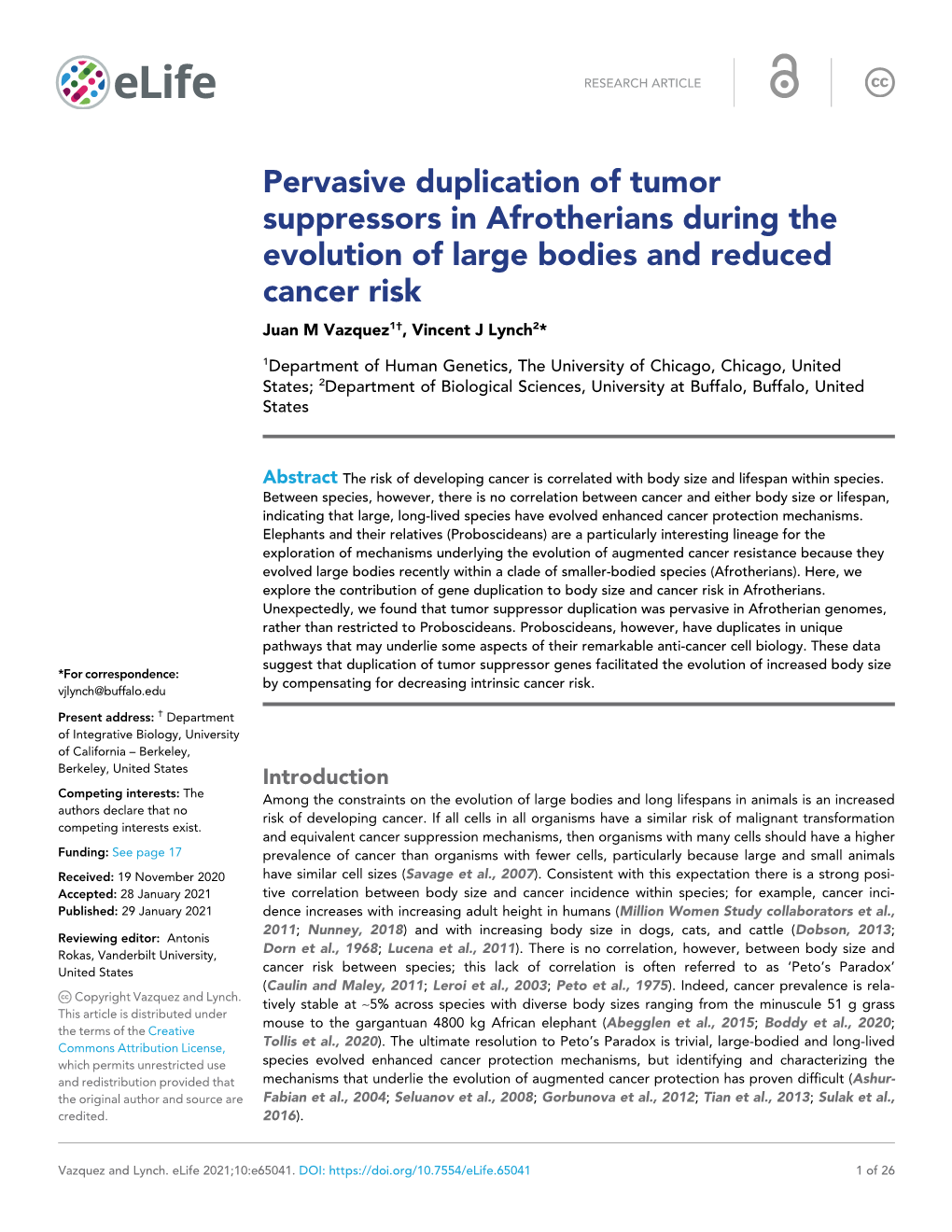 Pervasive Duplication of Tumor Suppressors in Afrotherians During the Evolution of Large Bodies and Reduced Cancer Risk Juan M Vazquez1†, Vincent J Lynch2*