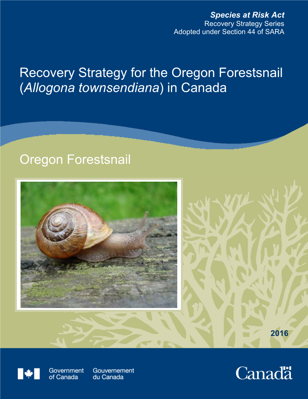 Oregon Forestsnail (Allogona Townsendiana) in Canada