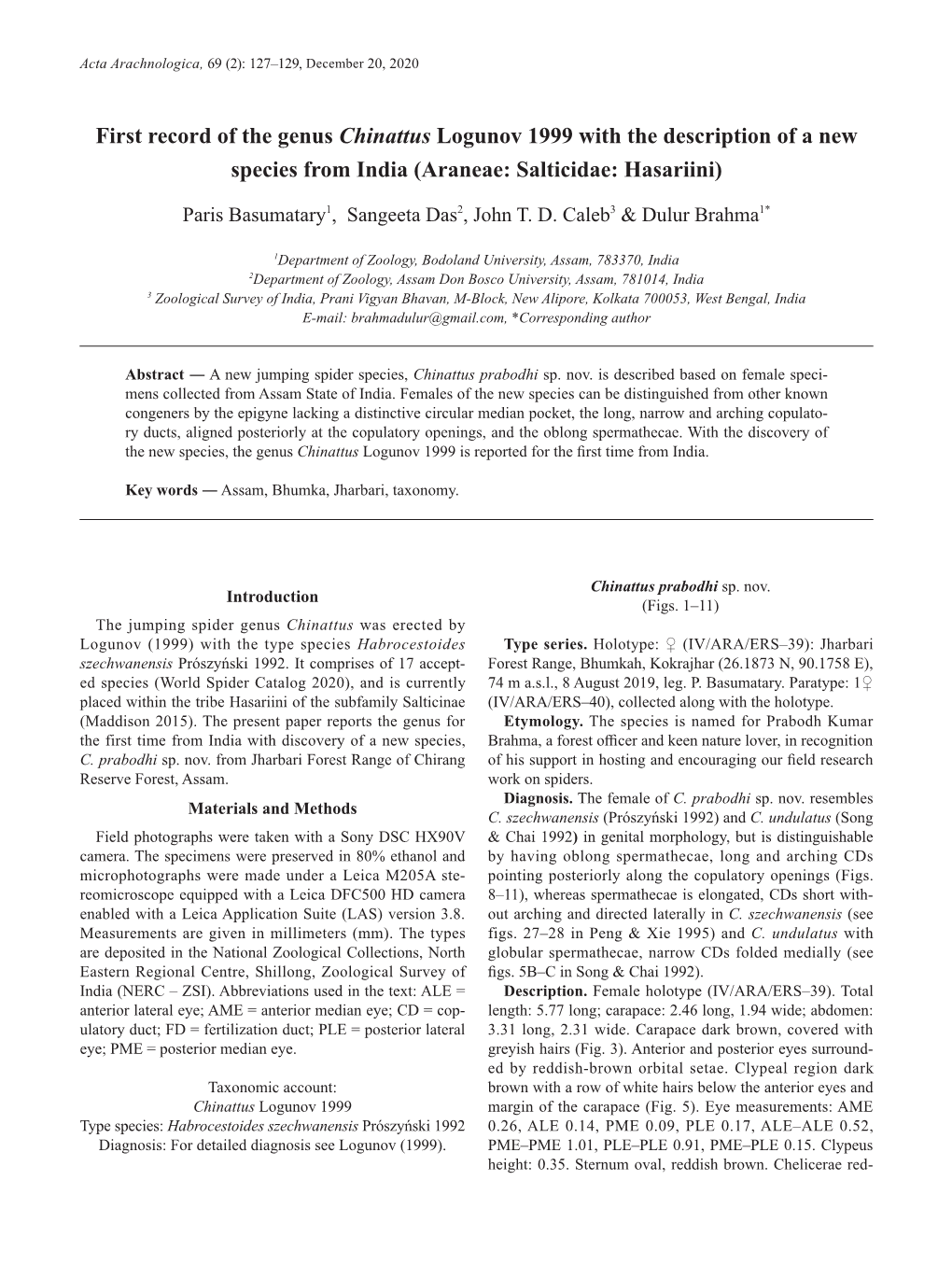 First Record of the Genus Chinattus Logunov 1999 with the Description of a New Species from India (Araneae: Salticidae: Hasariini)