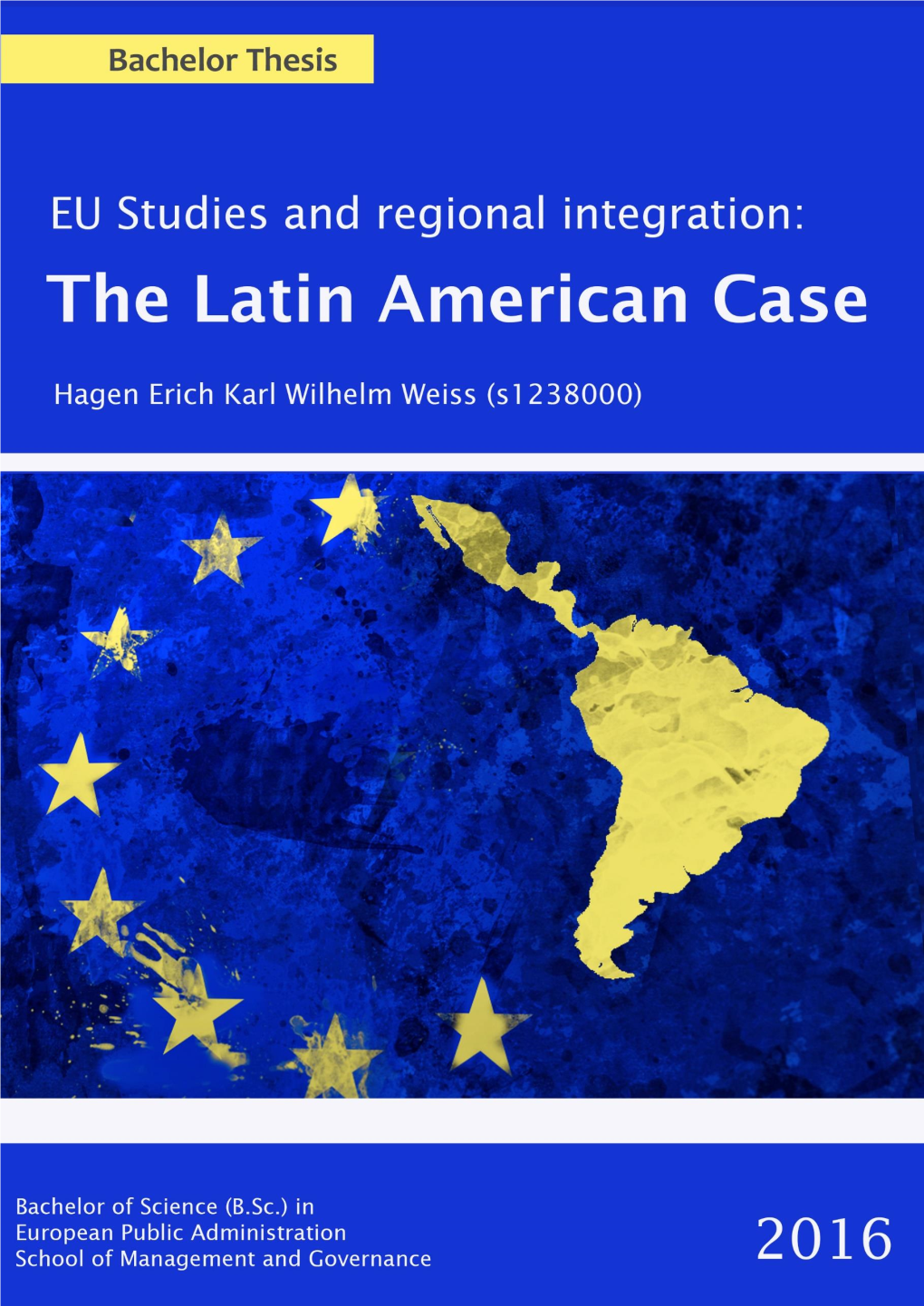 V. Integration in Latin America