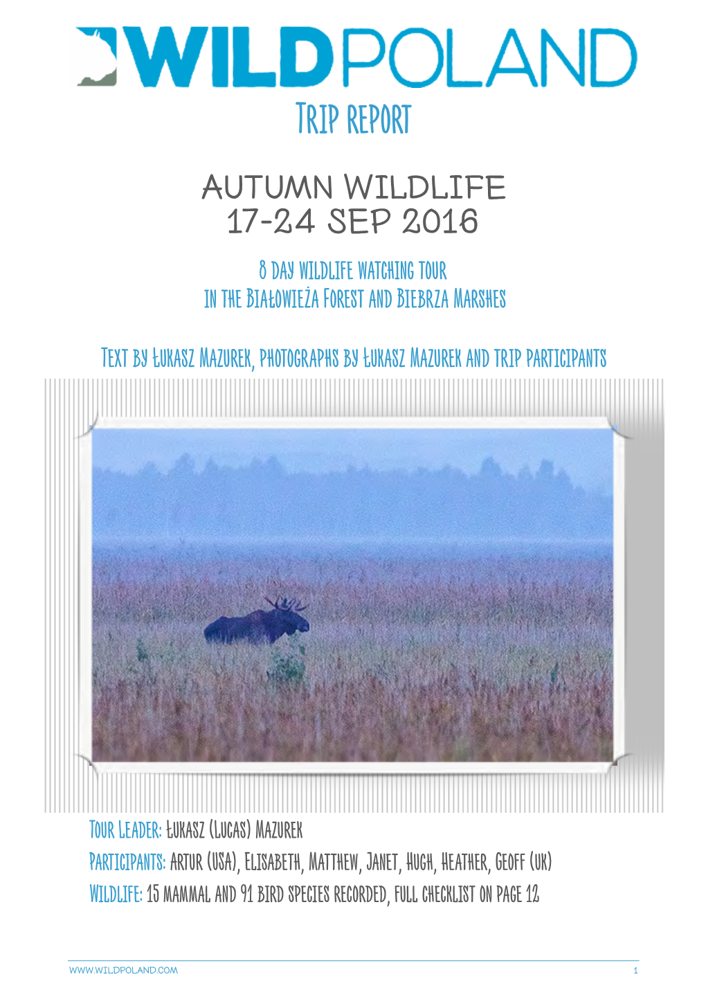 Autumn Wildlife, Białowieża Forest and Biebrza Marshes
