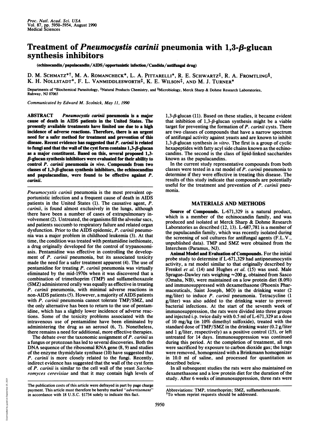 Treatment of Pneumocystis Carinji Pneumonia with 1,3-F3-Glucan Synthesis Inhibitors (Echinocandin/Papiacadn/AIDS/Opporunlicinfection/Candida/Antifungal Drug) D