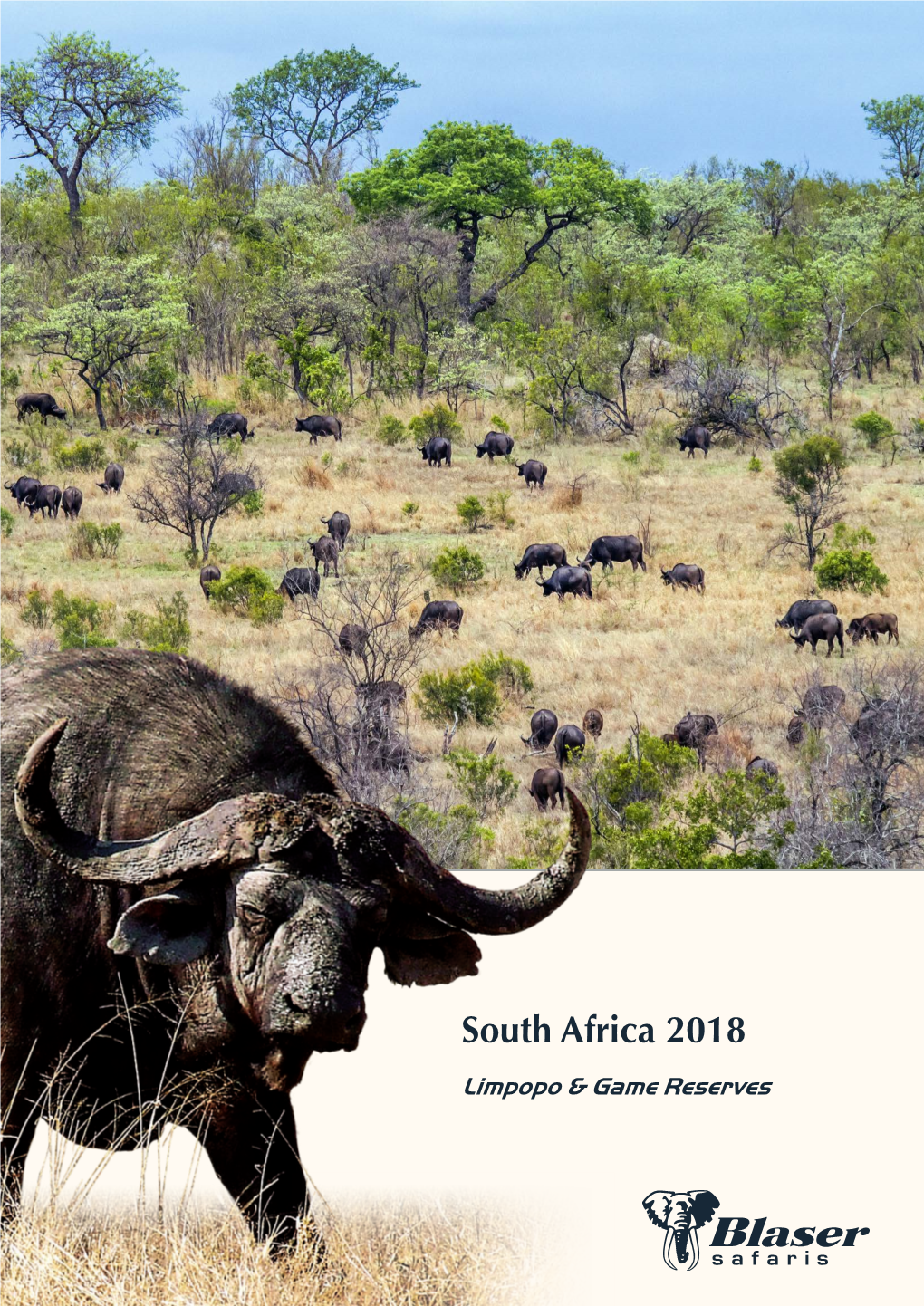 South Africa 2018 Limpopo & Game Reserves