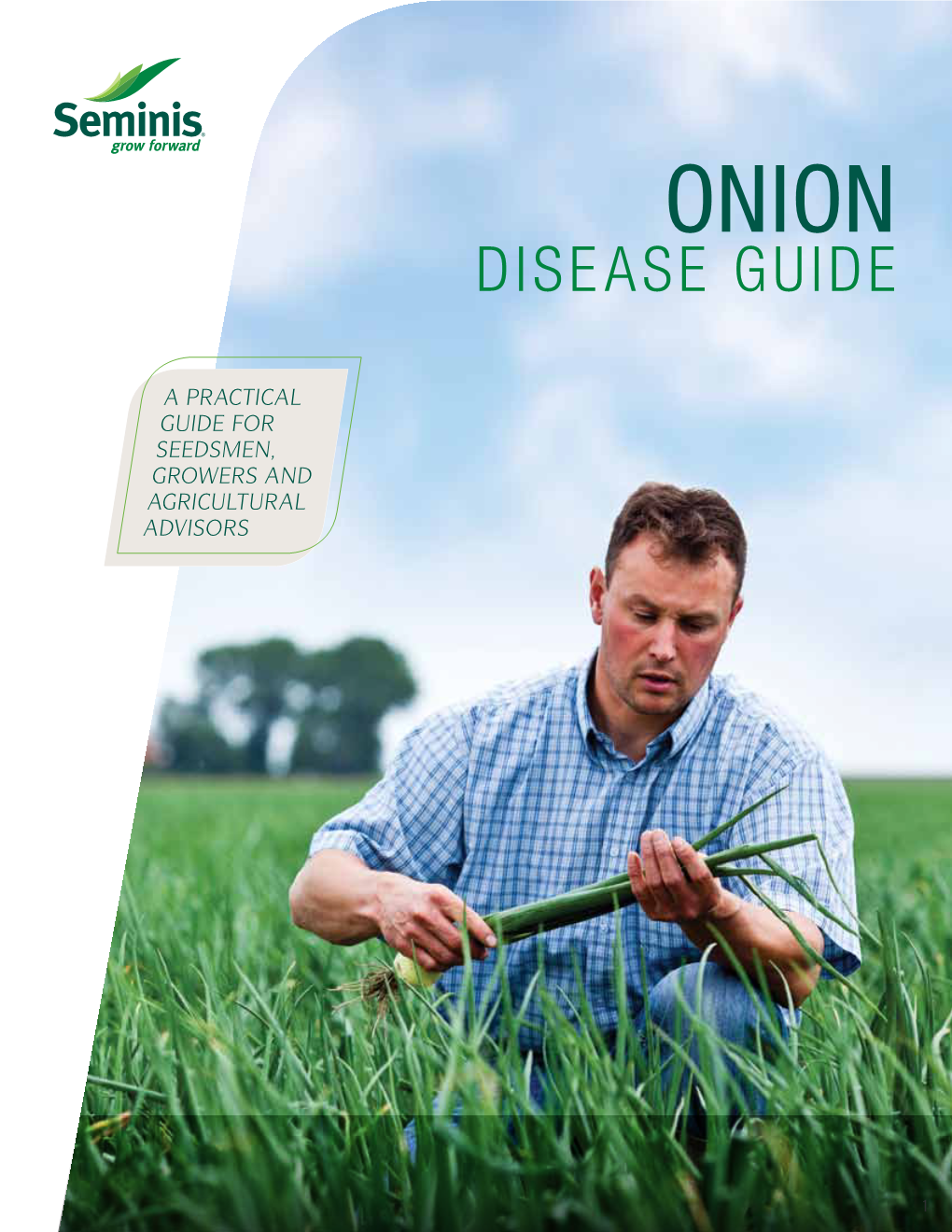 Onion Disease Guide