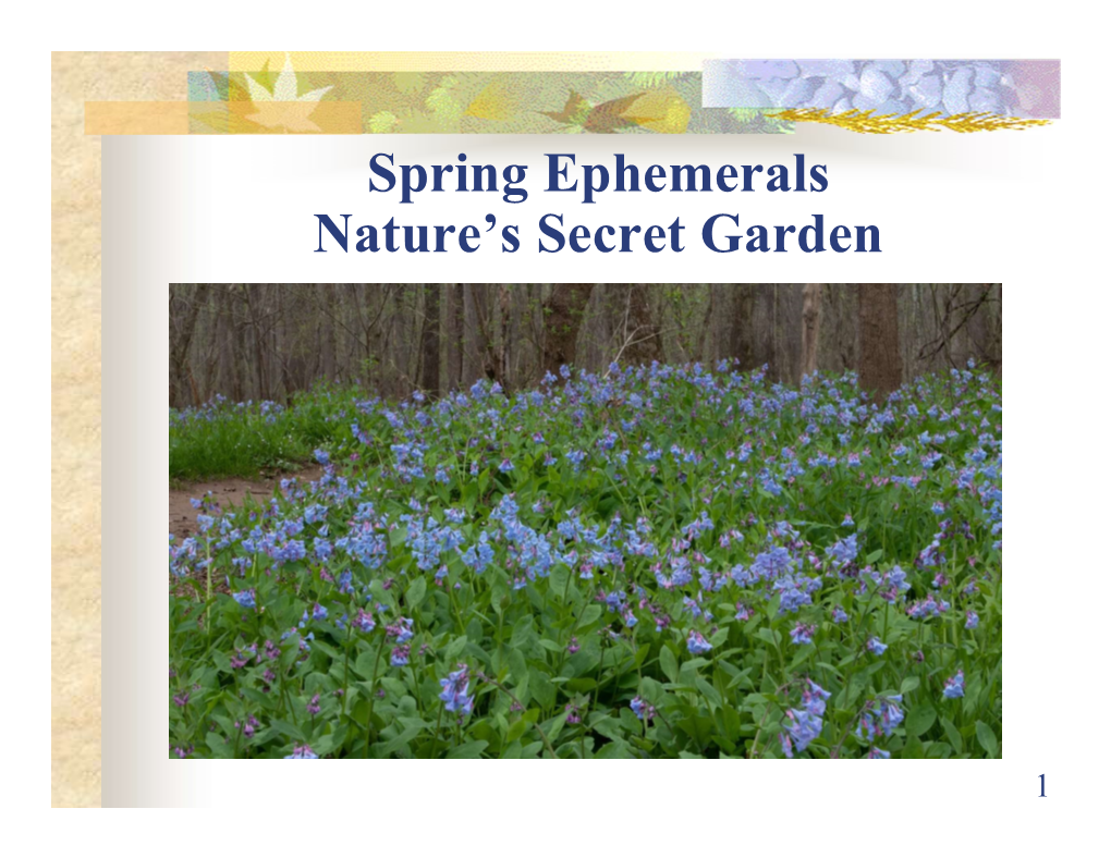 Spring Ephemerals Nature's Secret Garden