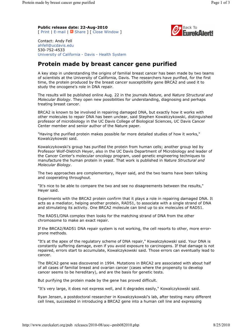 Protein Made by Breast Cancer Gene Purified Page 1 of 3