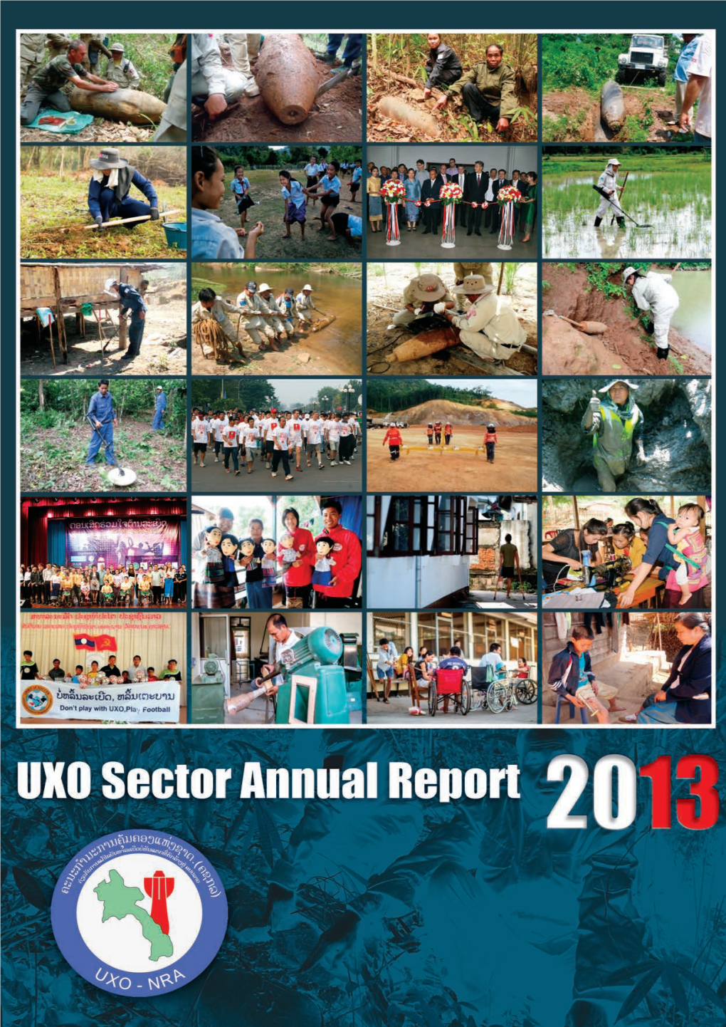 UXO Sector Annual Report 2013