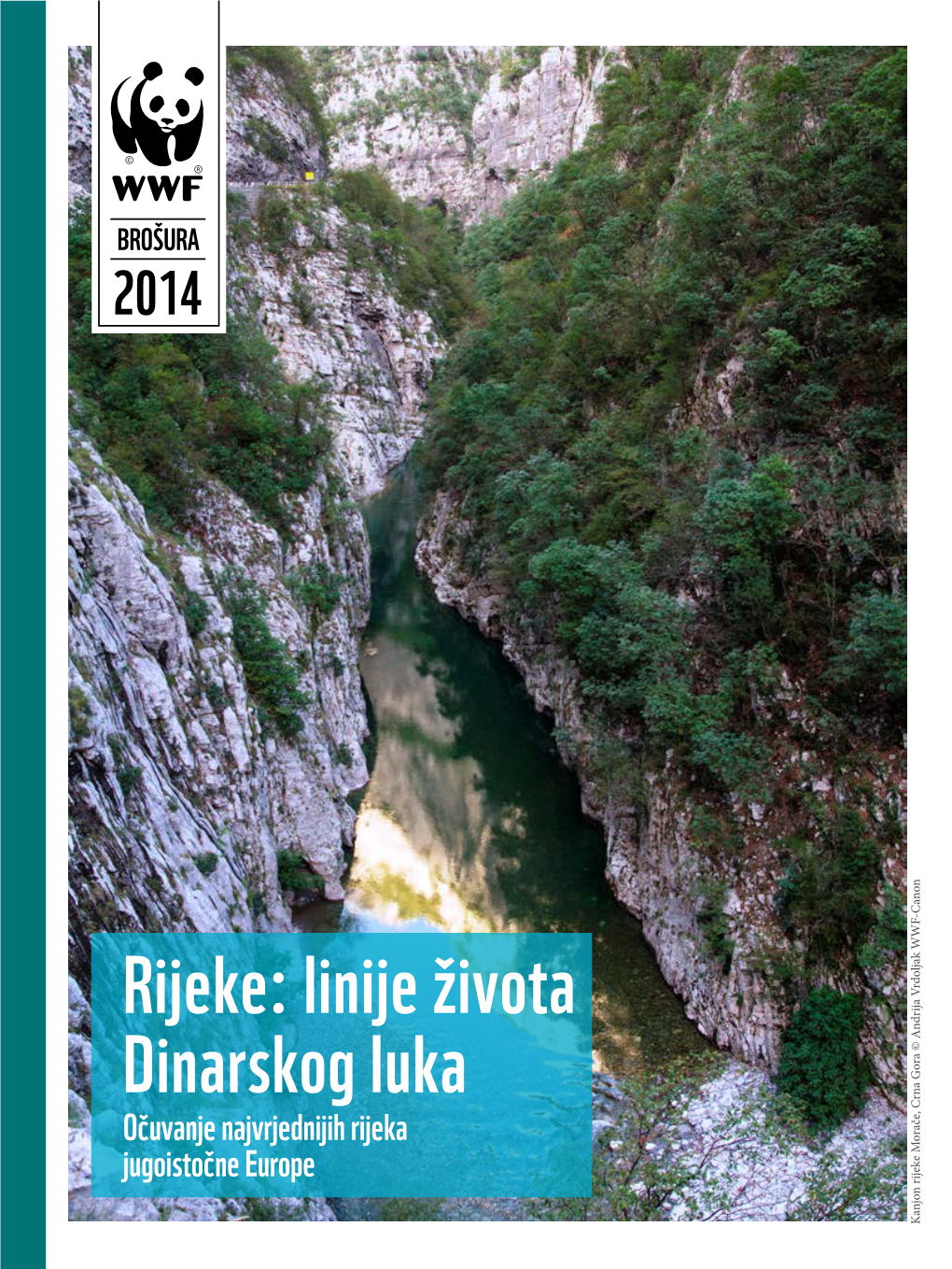 Rijeke: Linije Života Dinarskog Luka