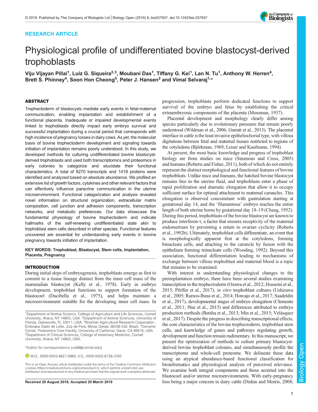 Physiological Profile of Undifferentiated Bovine Blastocyst-Derived Trophoblasts Viju Vijayan Pillai1, Luiz G